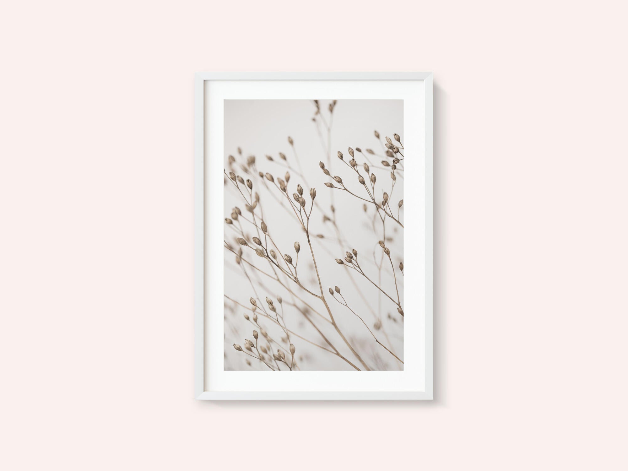 Wild Grass