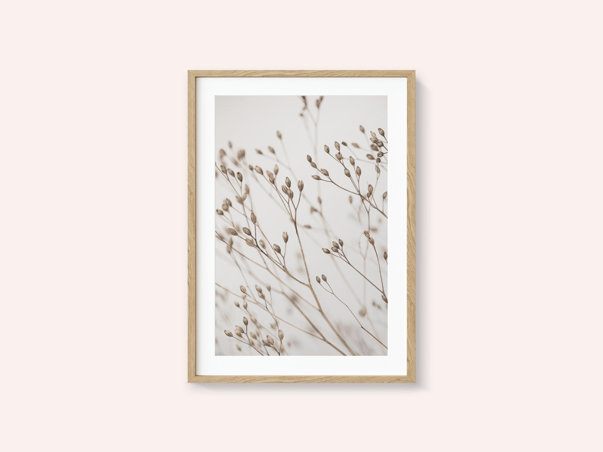 Wild Grass