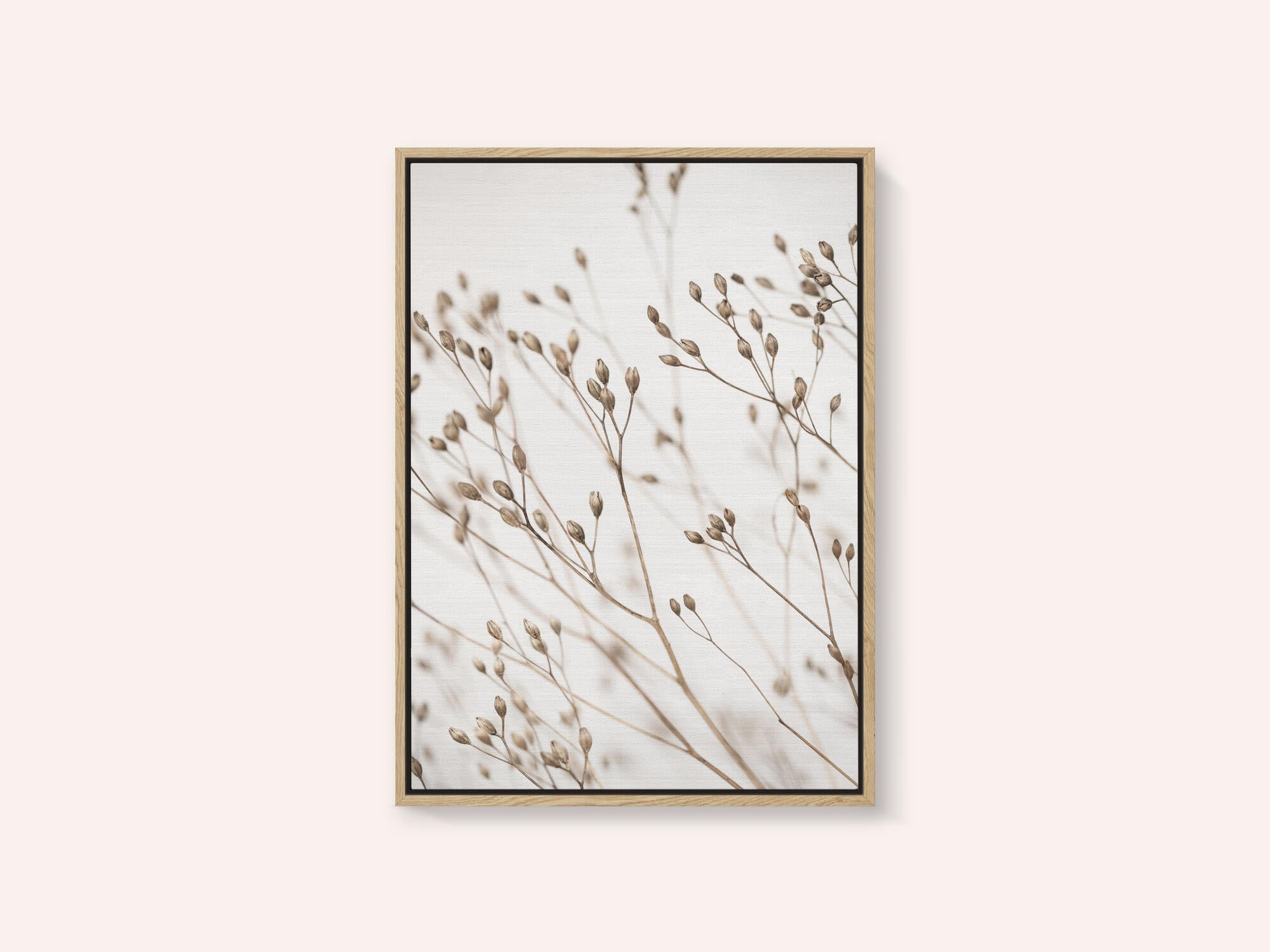 Wild Grass