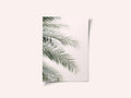 Blush Palm Leaves