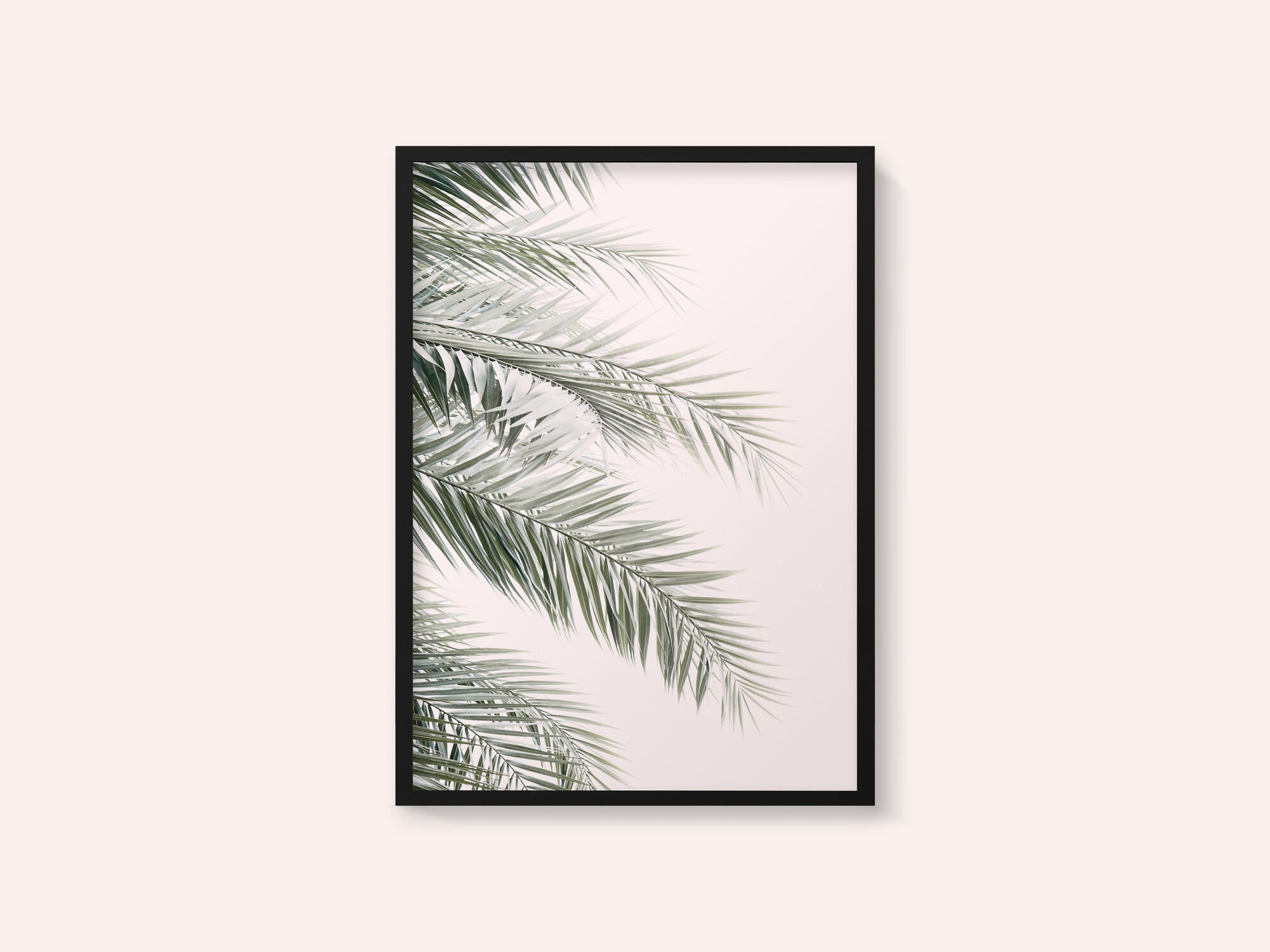Blush Palm Leaves