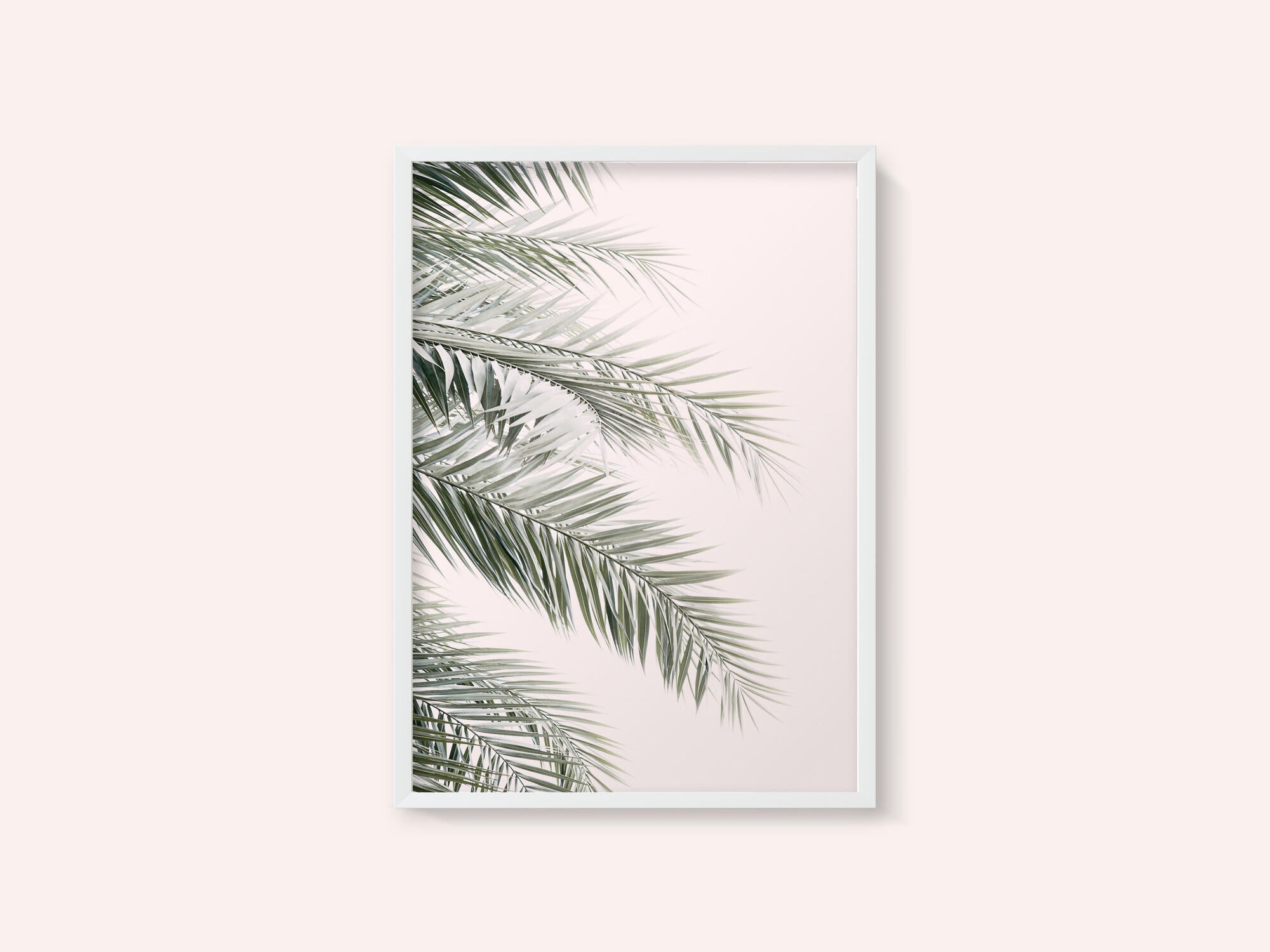 Blush Palm Leaves