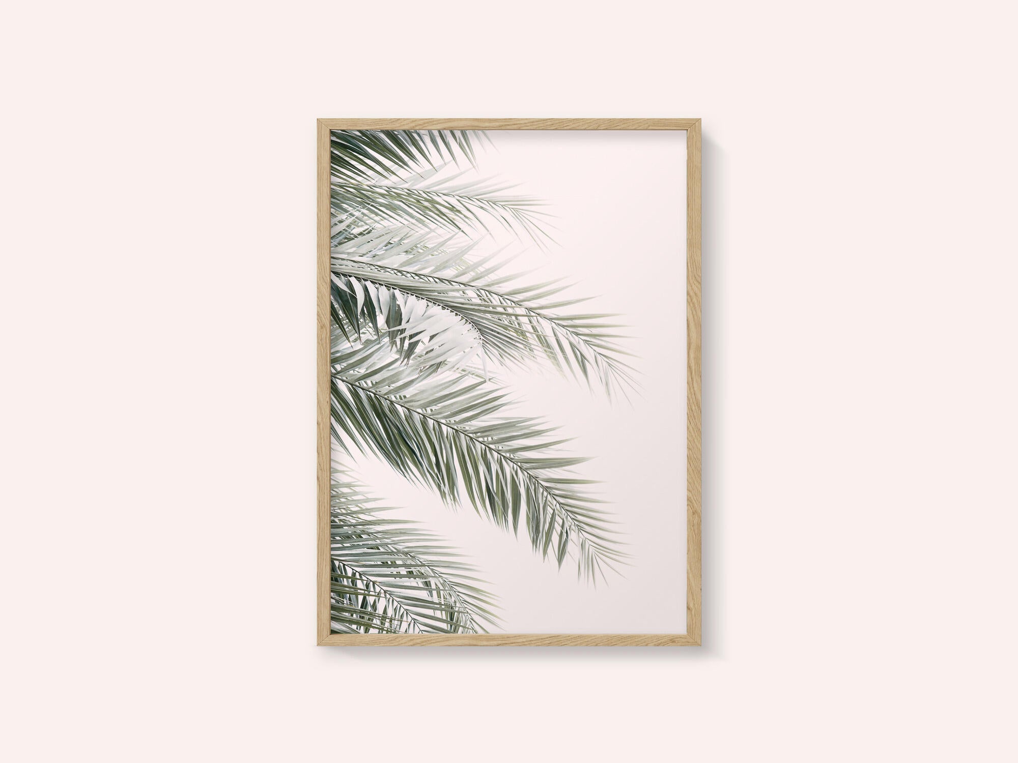 Blush Palm Leaves