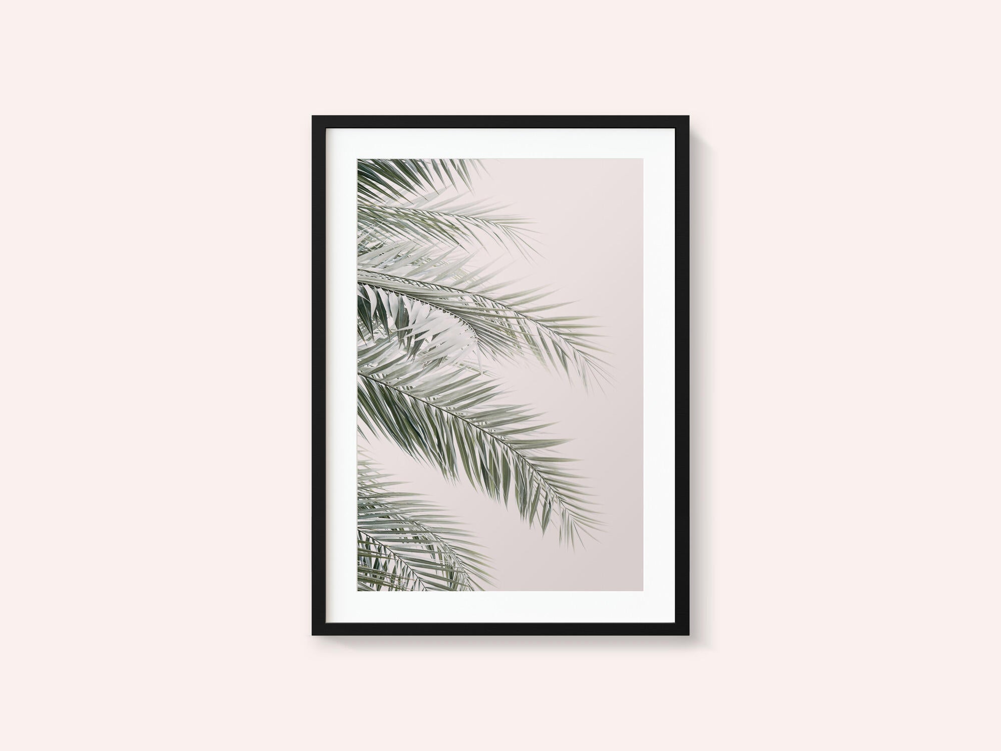 Blush Palm Leaves