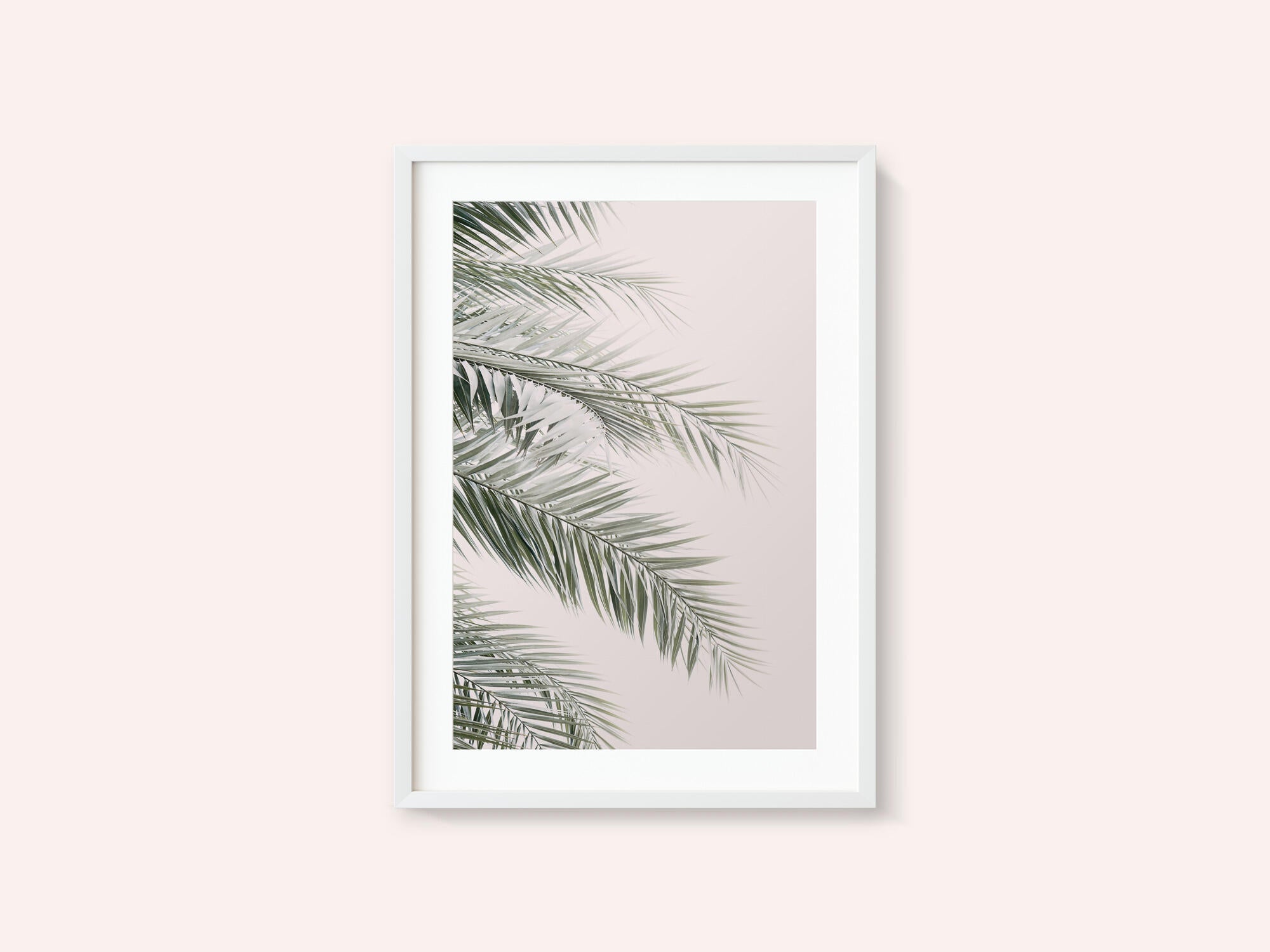 Blush Palm Leaves