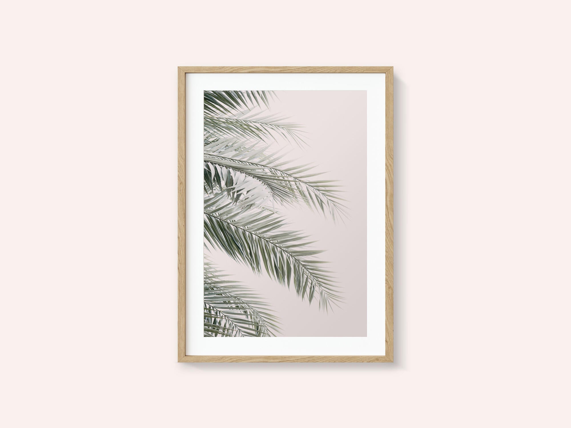 Blush Palm Leaves
