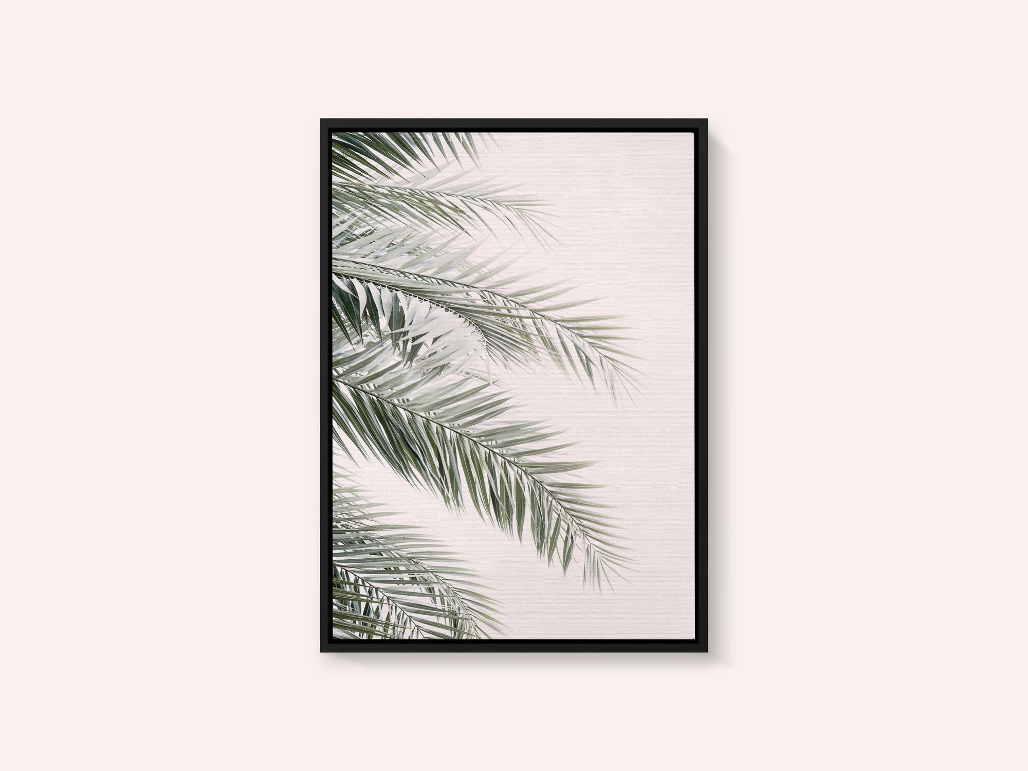 Blush Palm Leaves