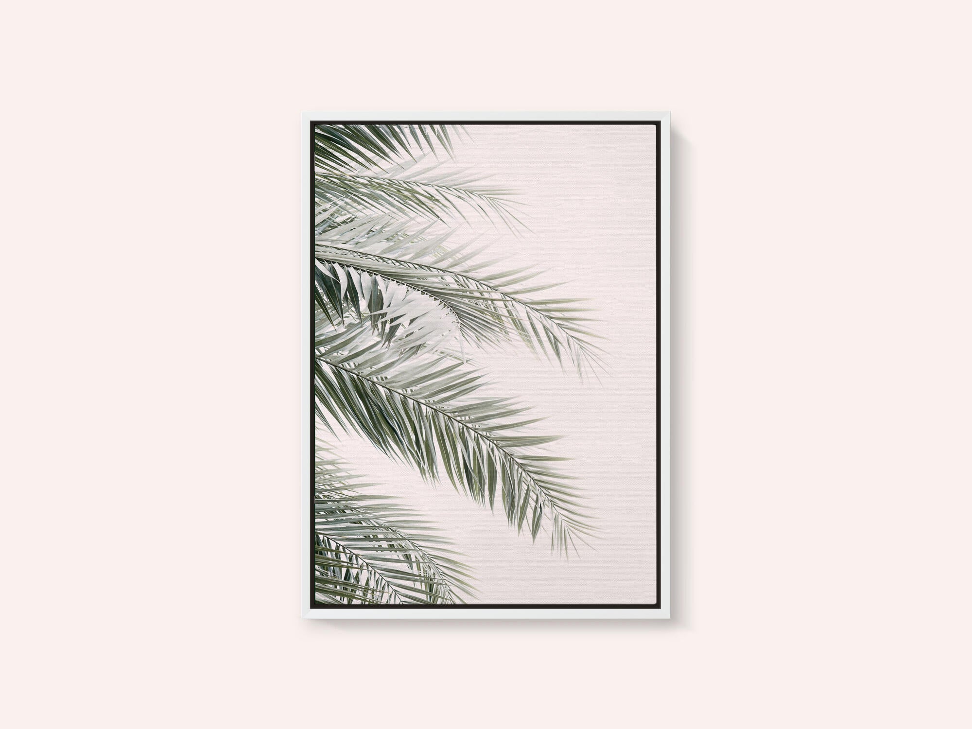 Blush Palm Leaves