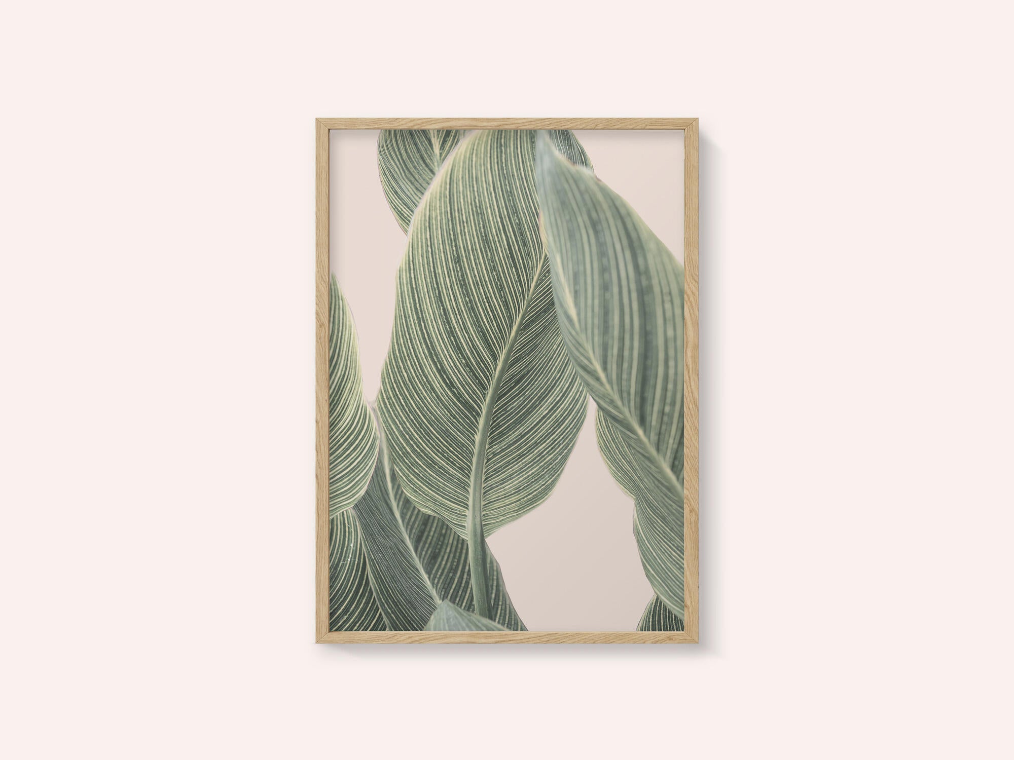 Calla Leaf
