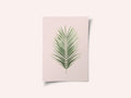 Palm Leaf Blush