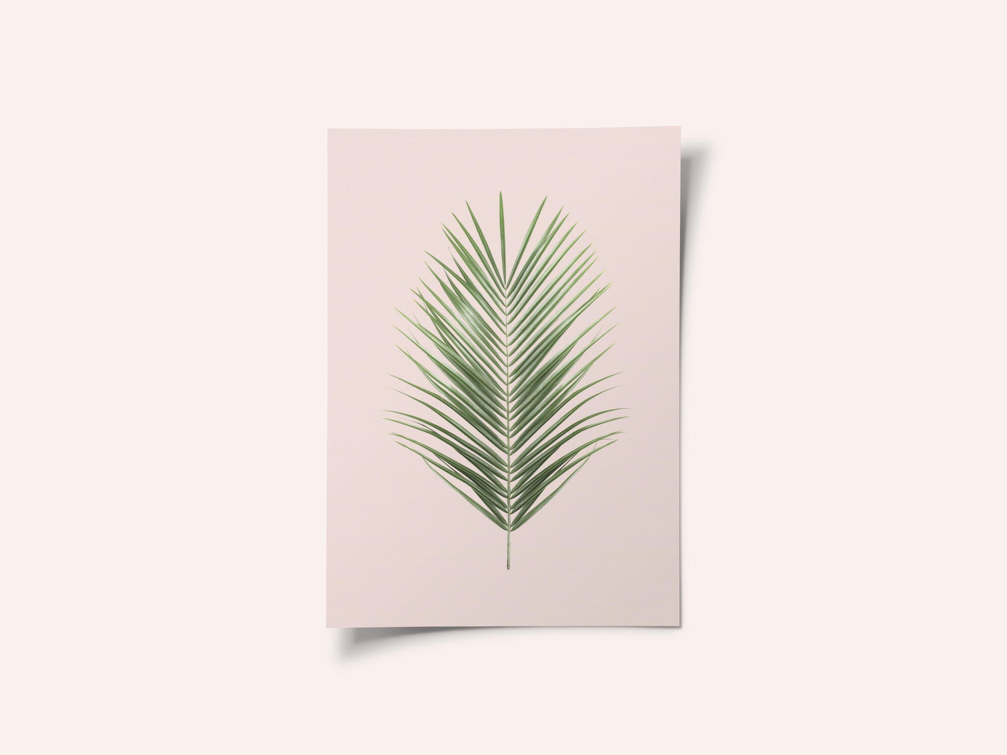 Palm Leaf Blush