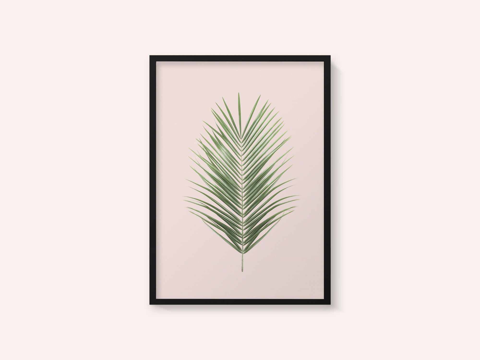 Palm Leaf Blush