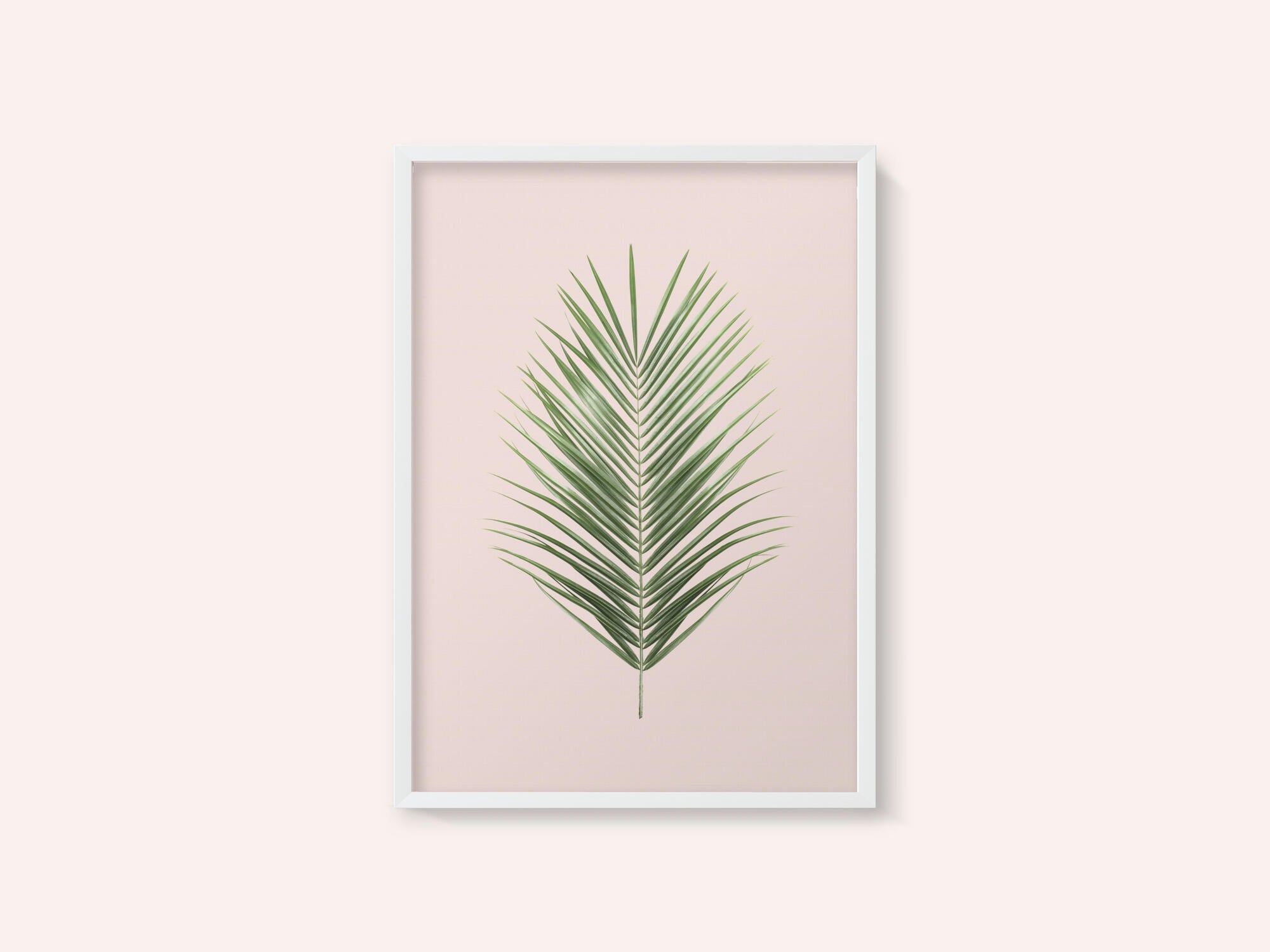 Palm Leaf Blush