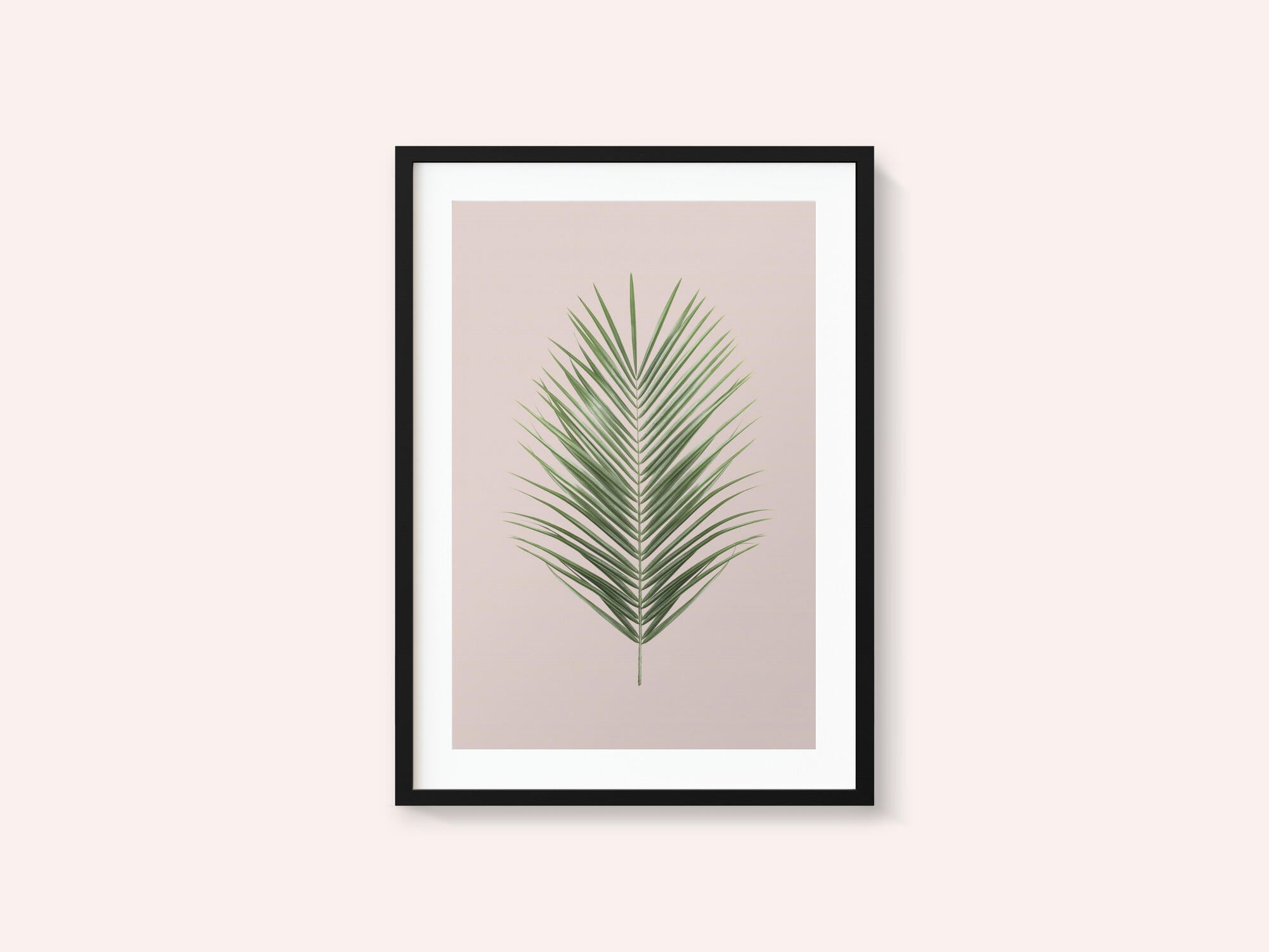 Palm Leaf Blush