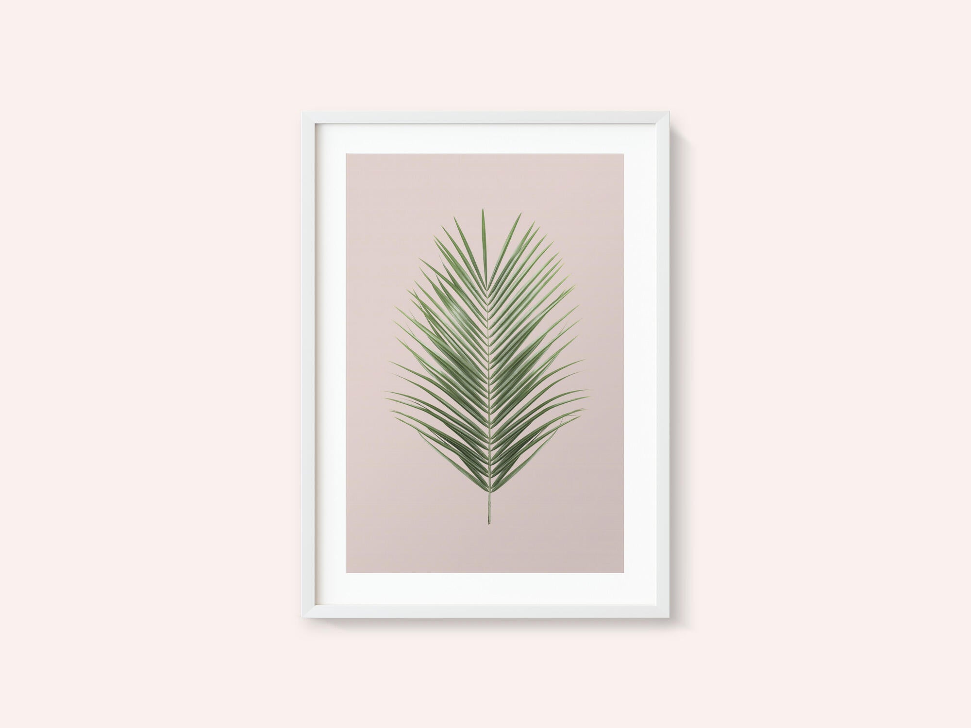 Palm Leaf Blush