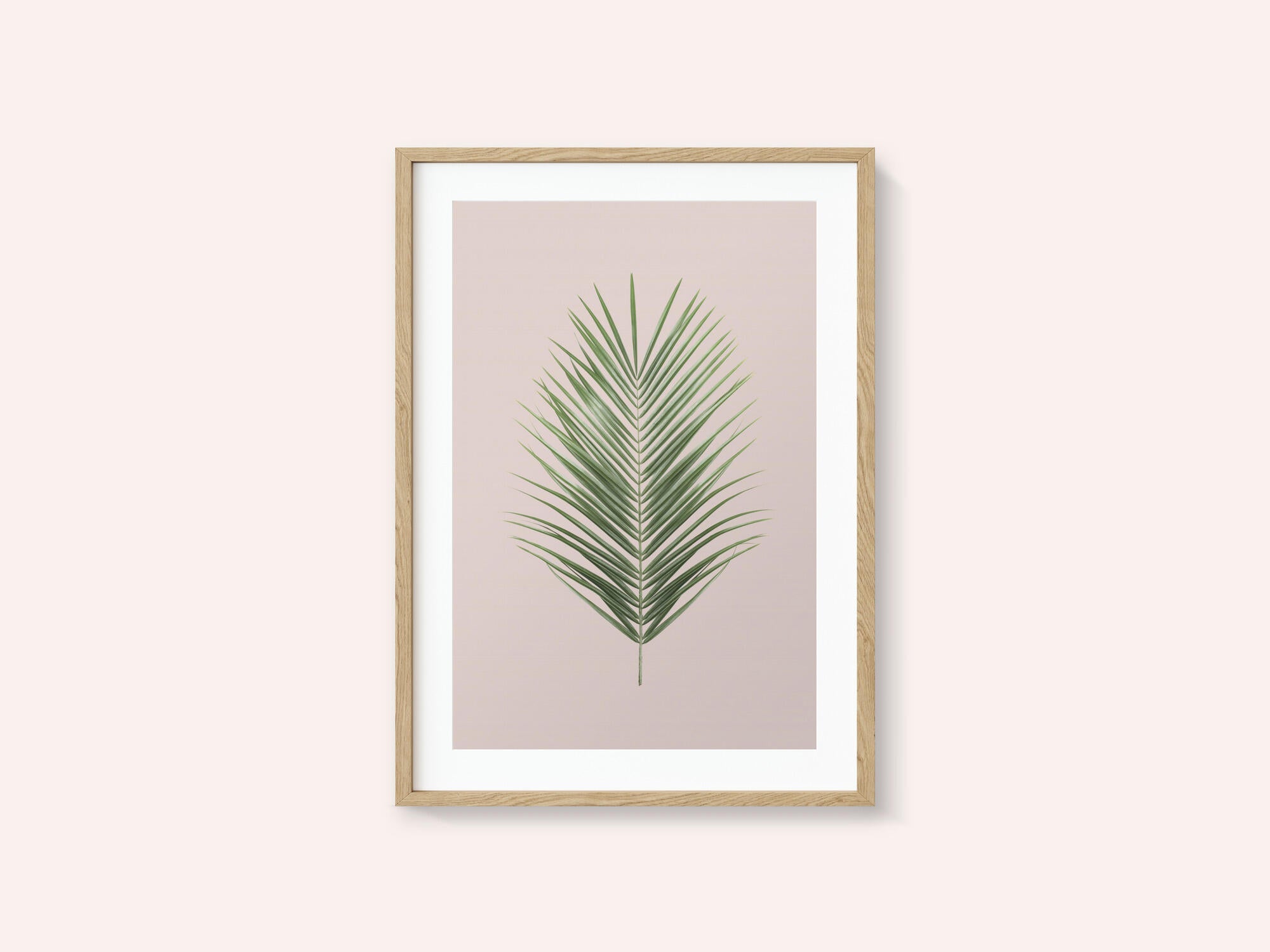 Palm Leaf Blush