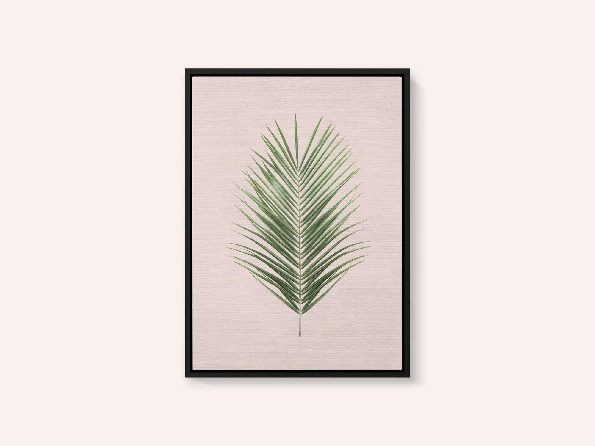 Palm Leaf Blush