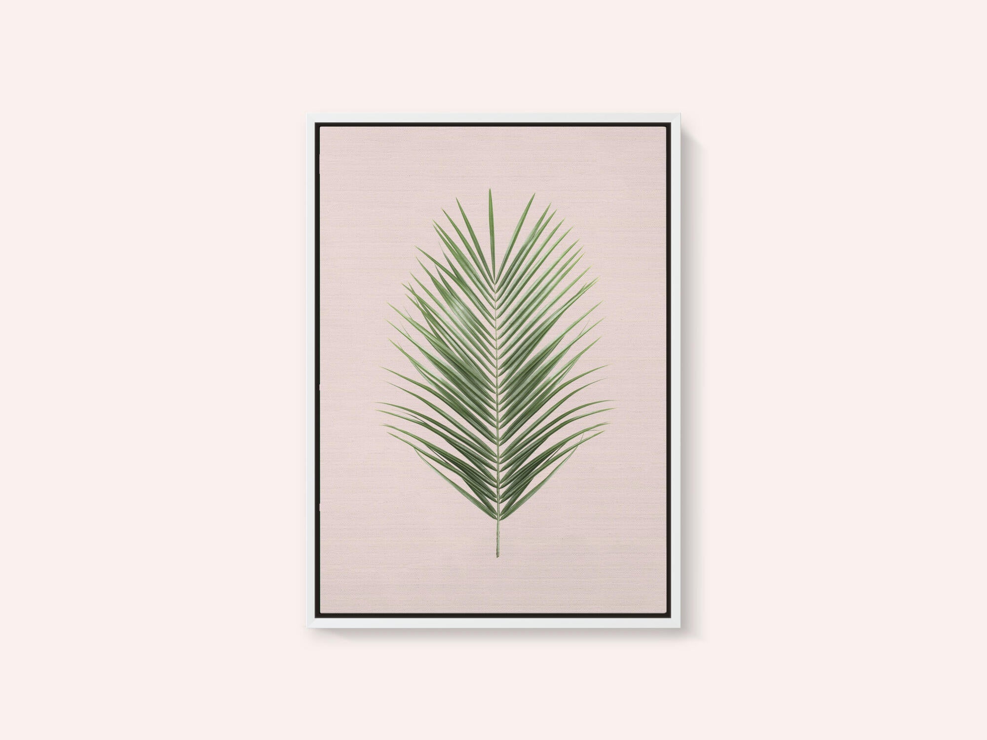 Palm Leaf Blush