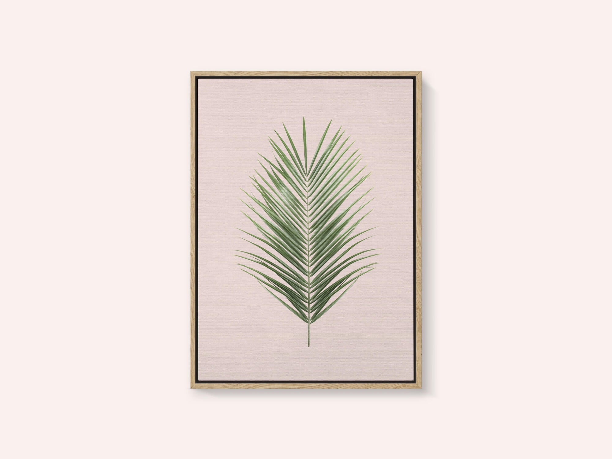 Palm Leaf Blush