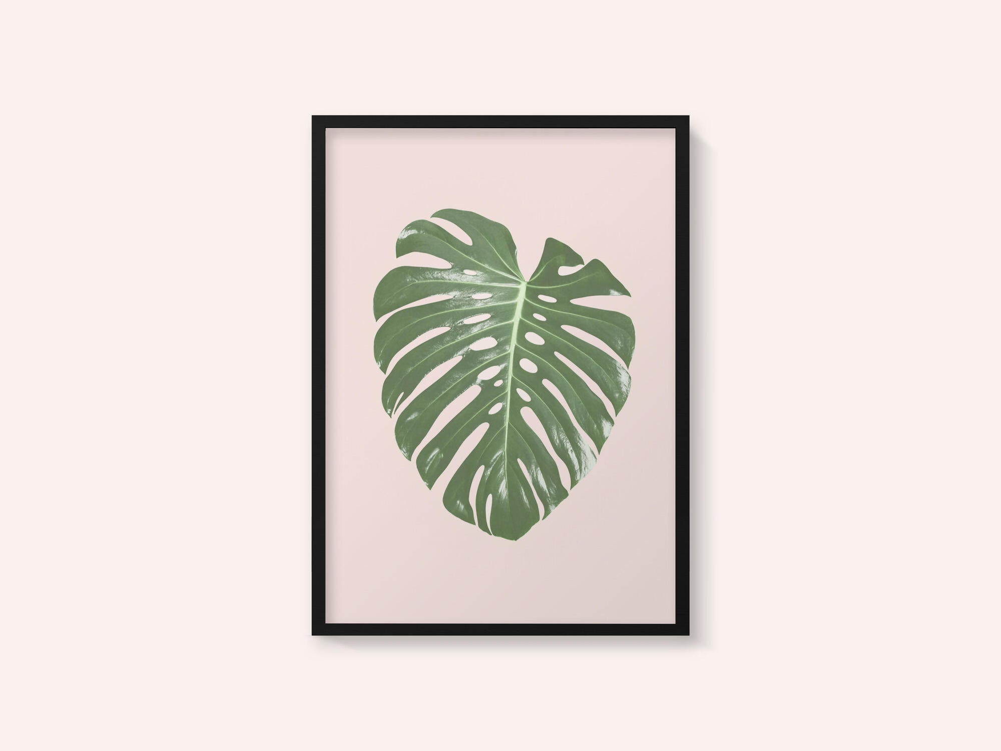 Monstera Leaf Blush