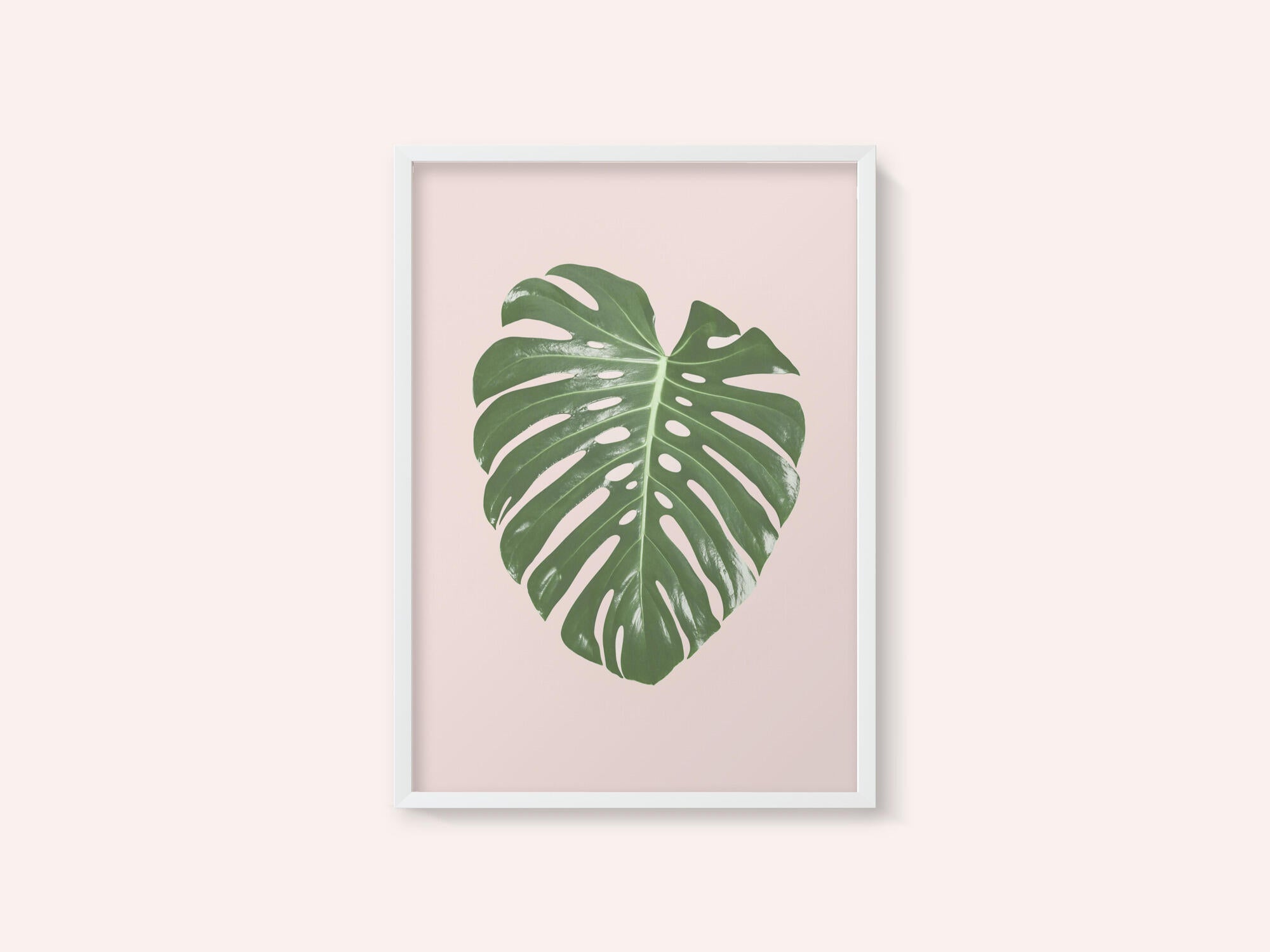 Monstera Leaf Blush