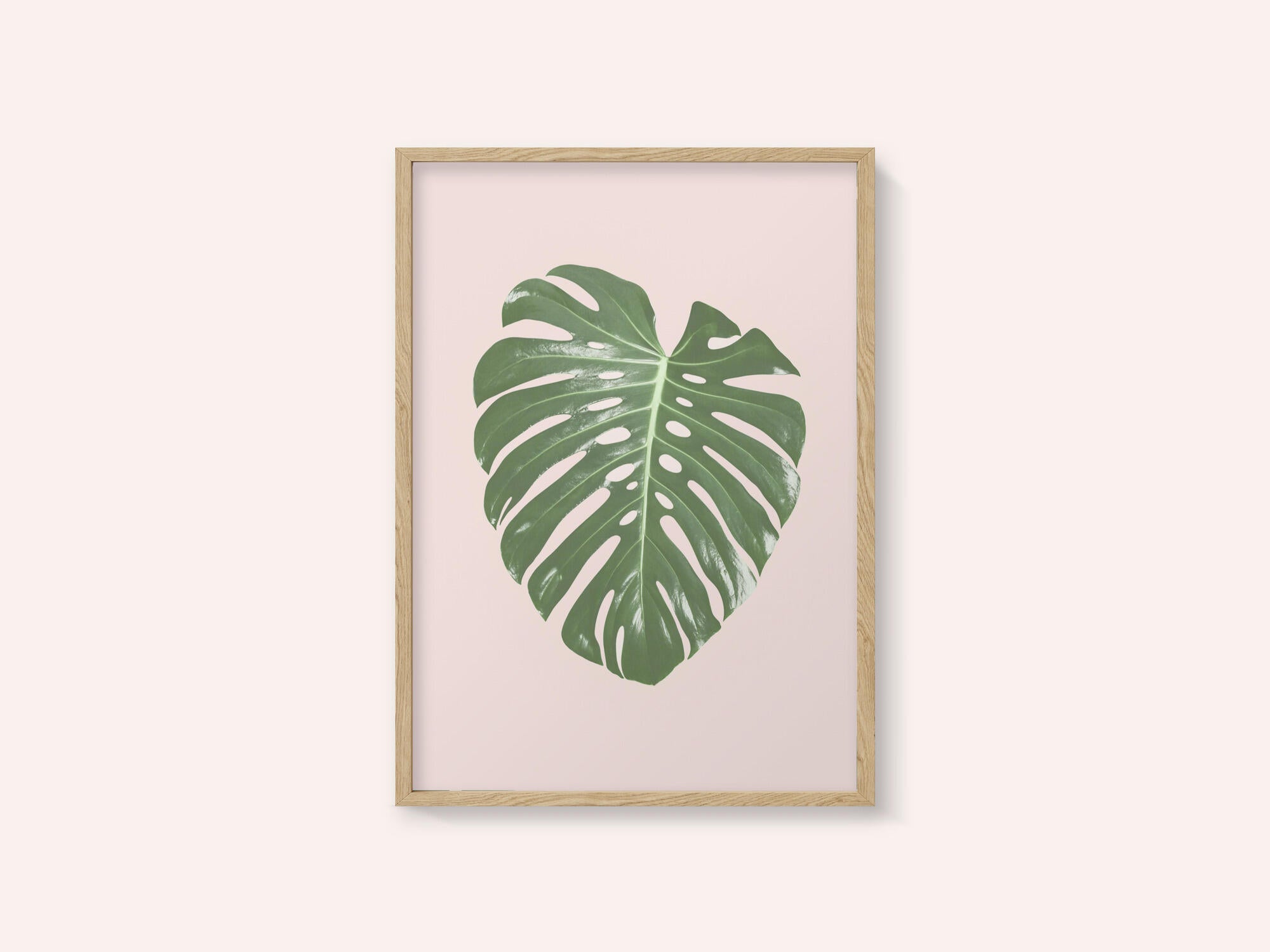 Monstera Leaf Blush