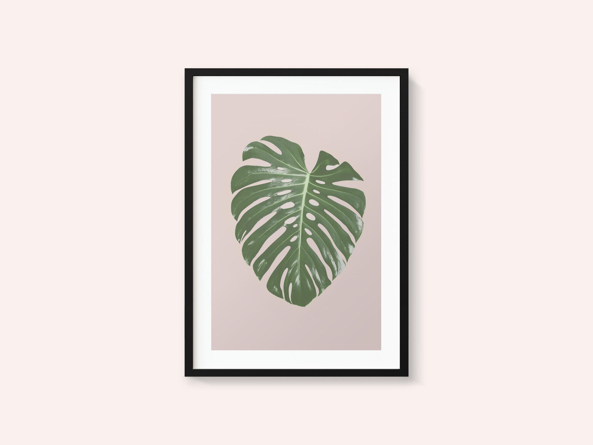Monstera Leaf Blush