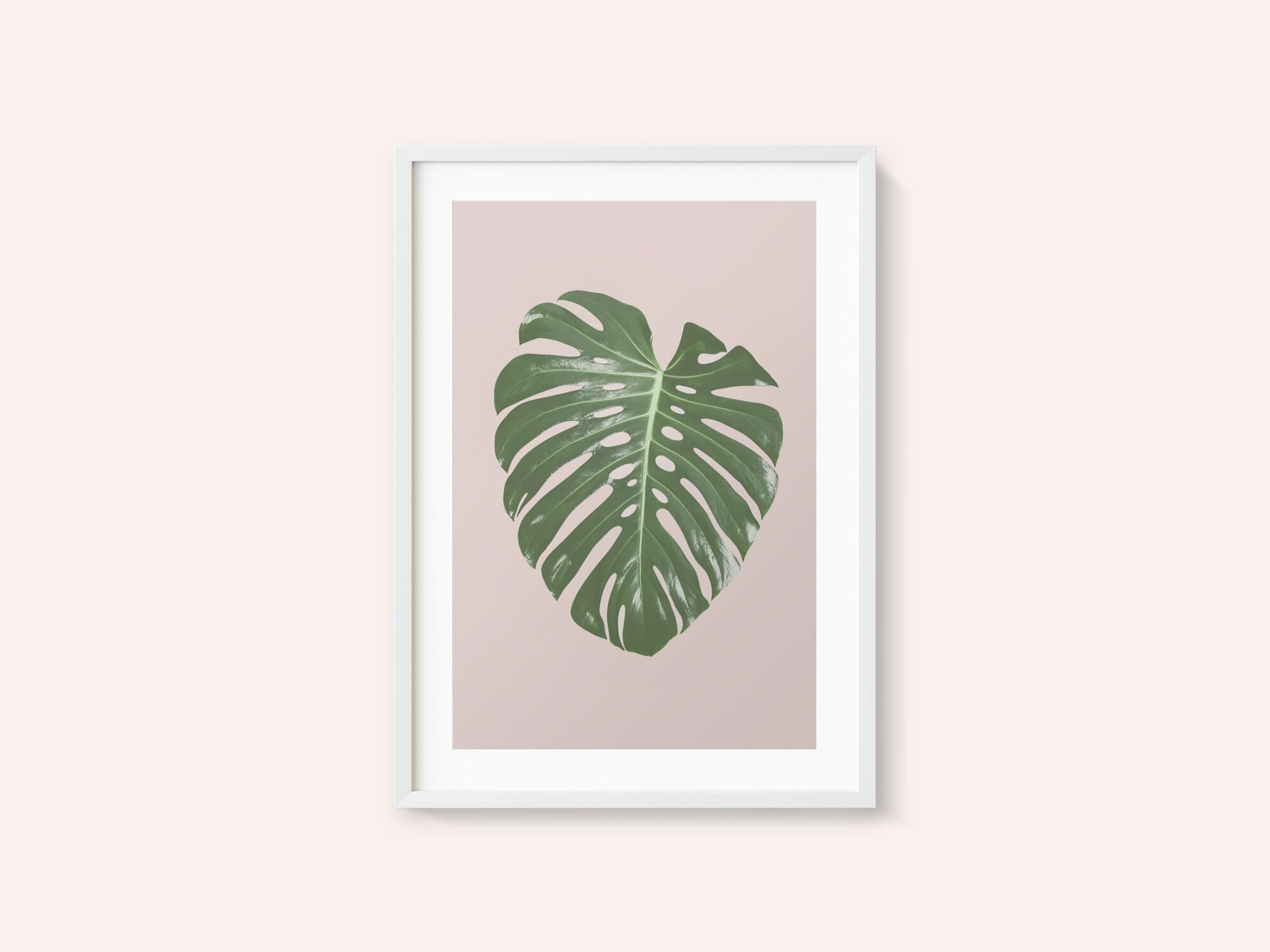 Monstera Leaf Blush