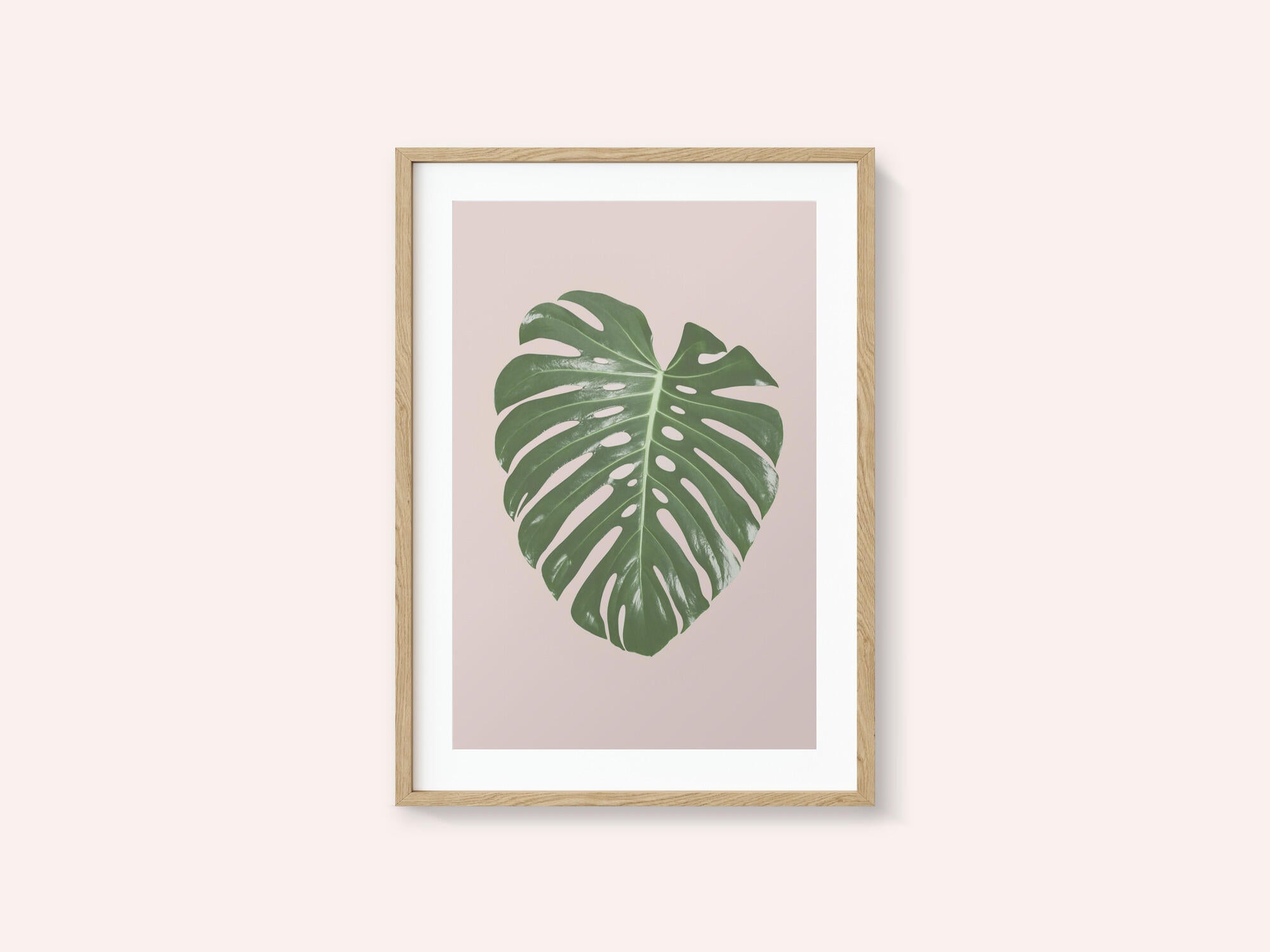 Monstera Leaf Blush