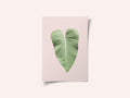 Tropical Leaf Blush