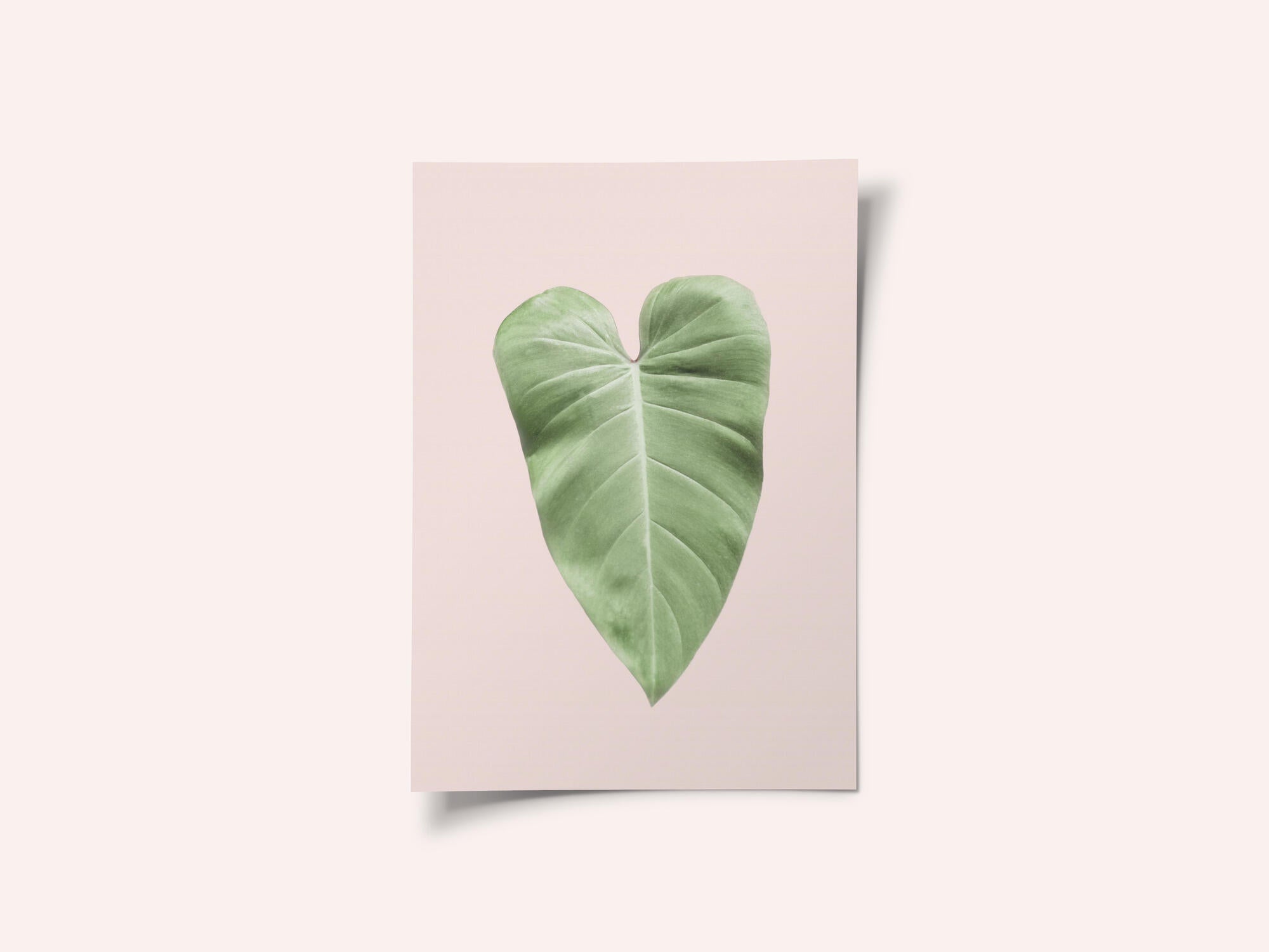 Tropical Leaf Blush