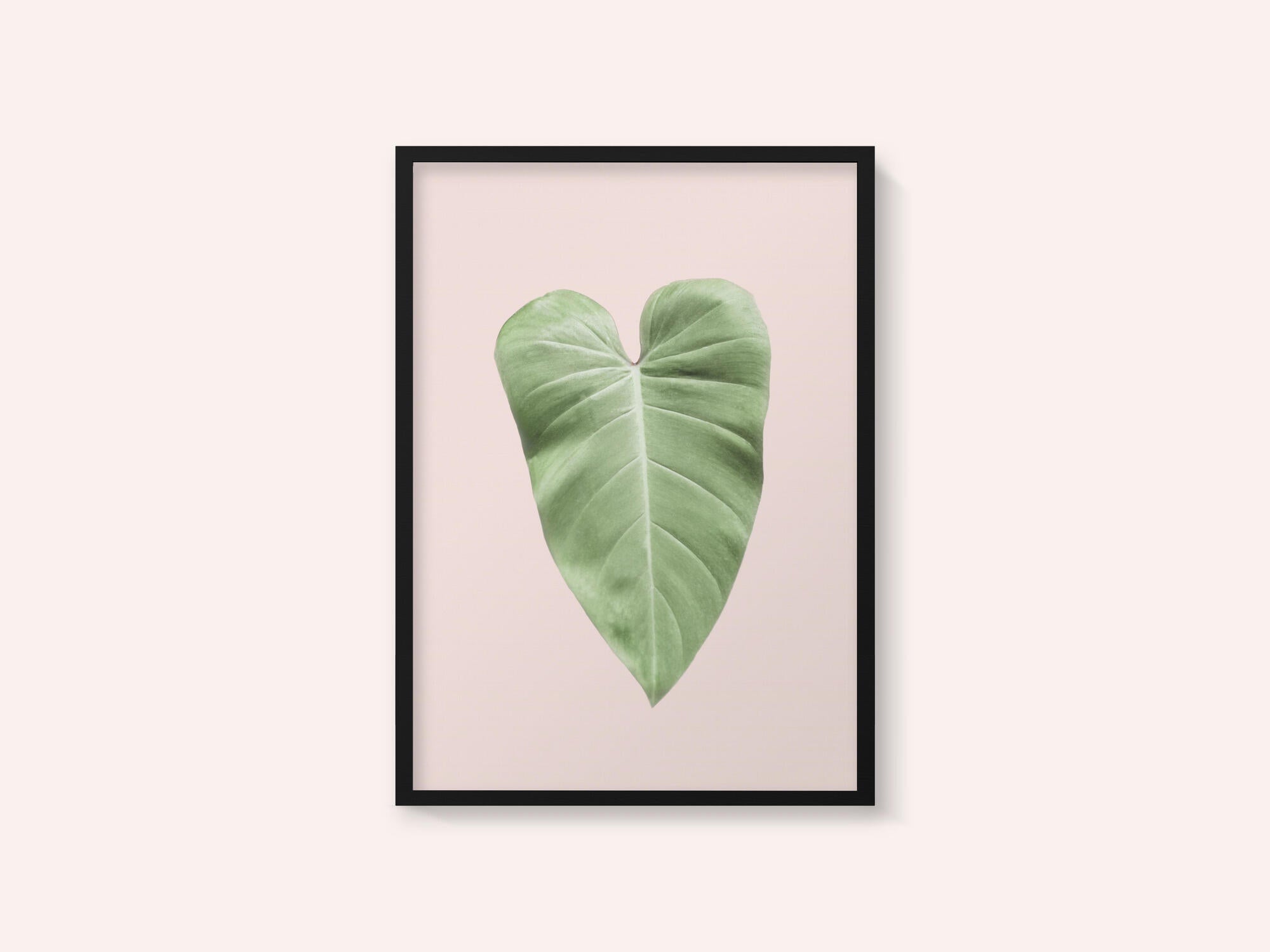 Tropical Leaf Blush