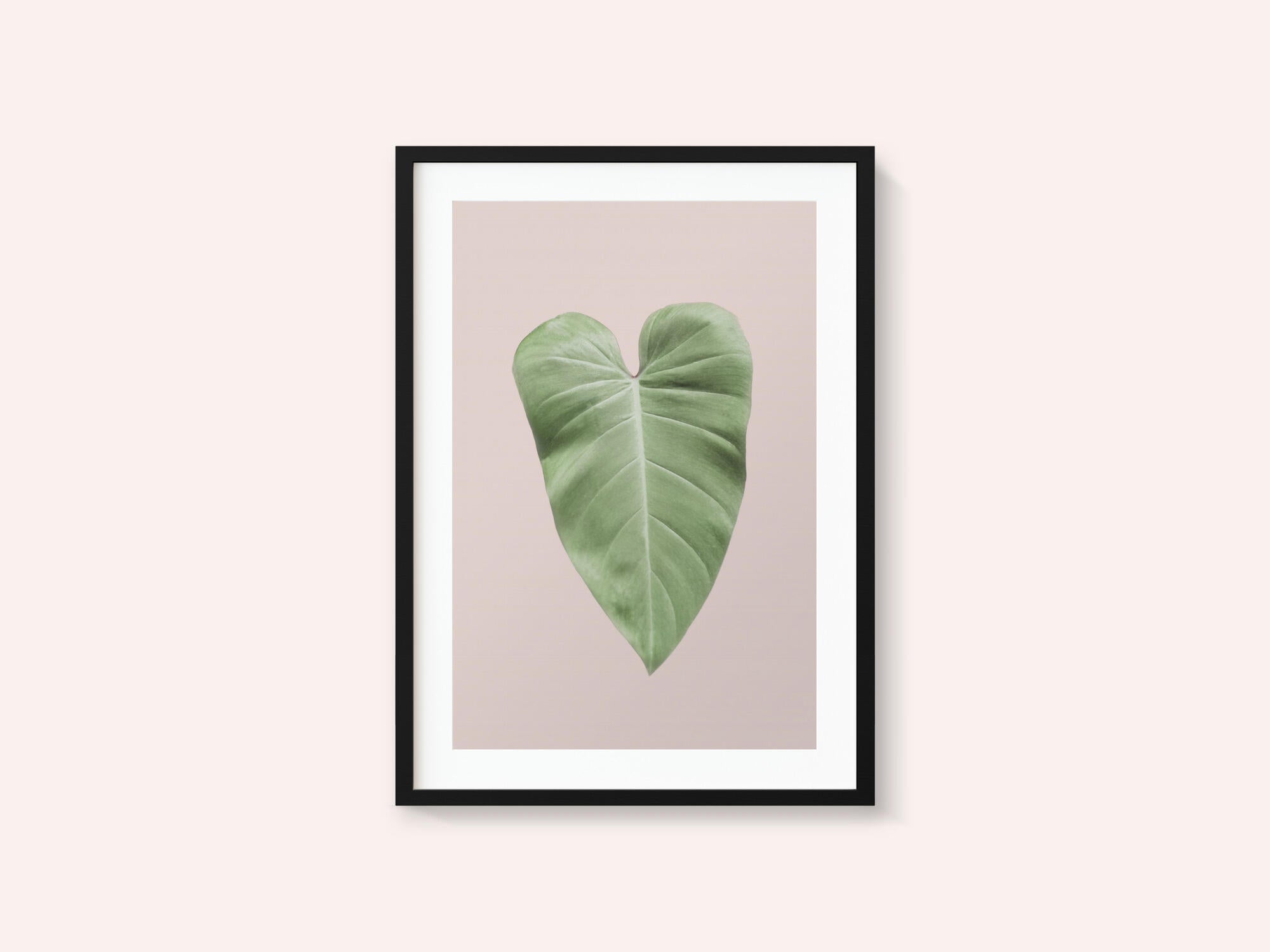 Tropical Leaf Blush
