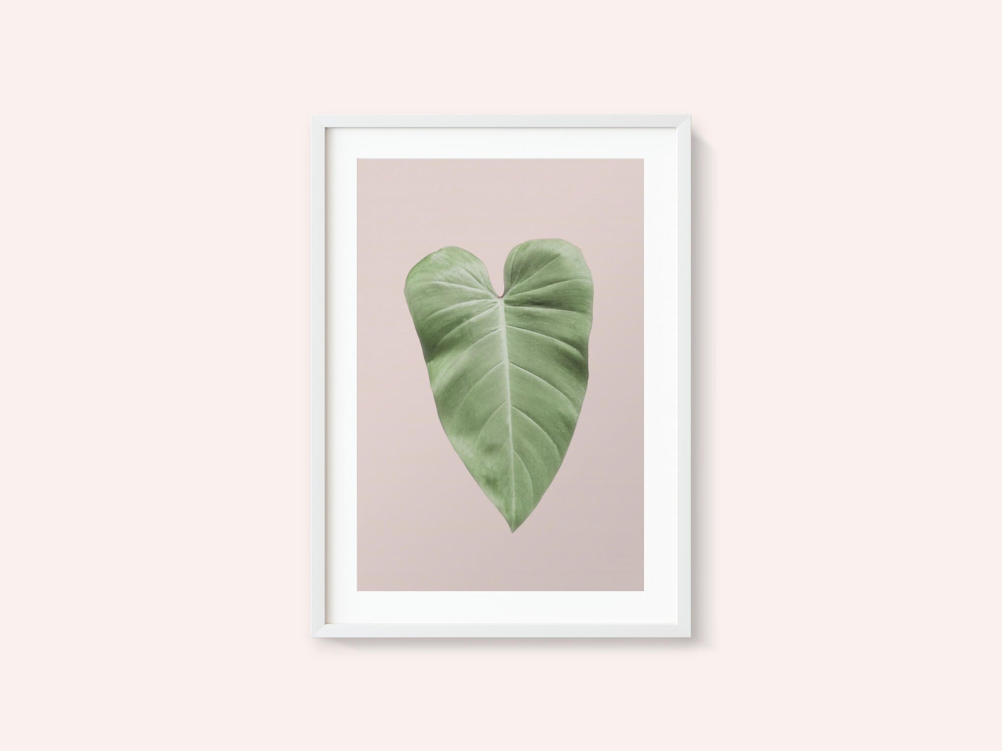 Tropical Leaf Blush