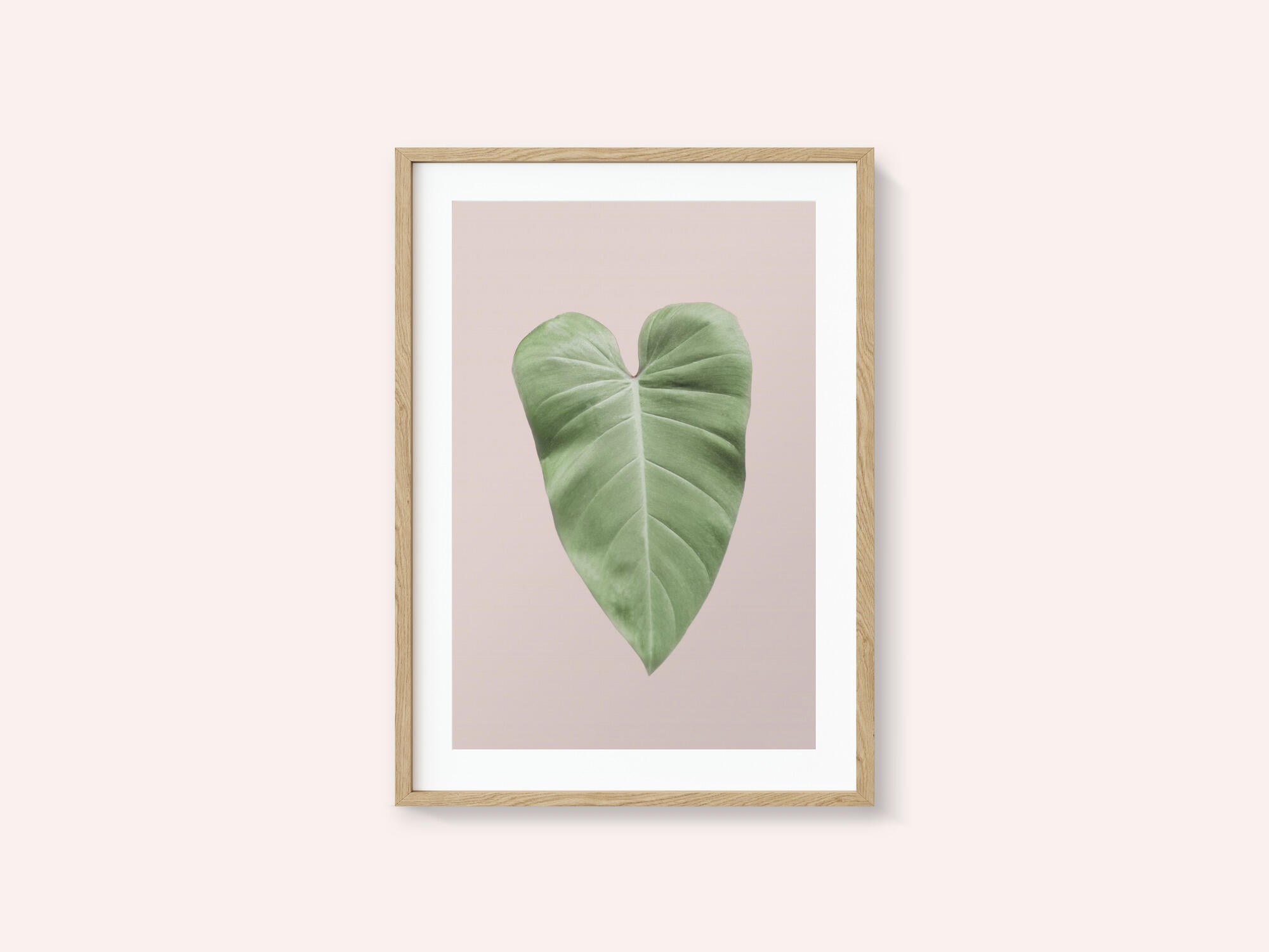 Tropical Leaf Blush