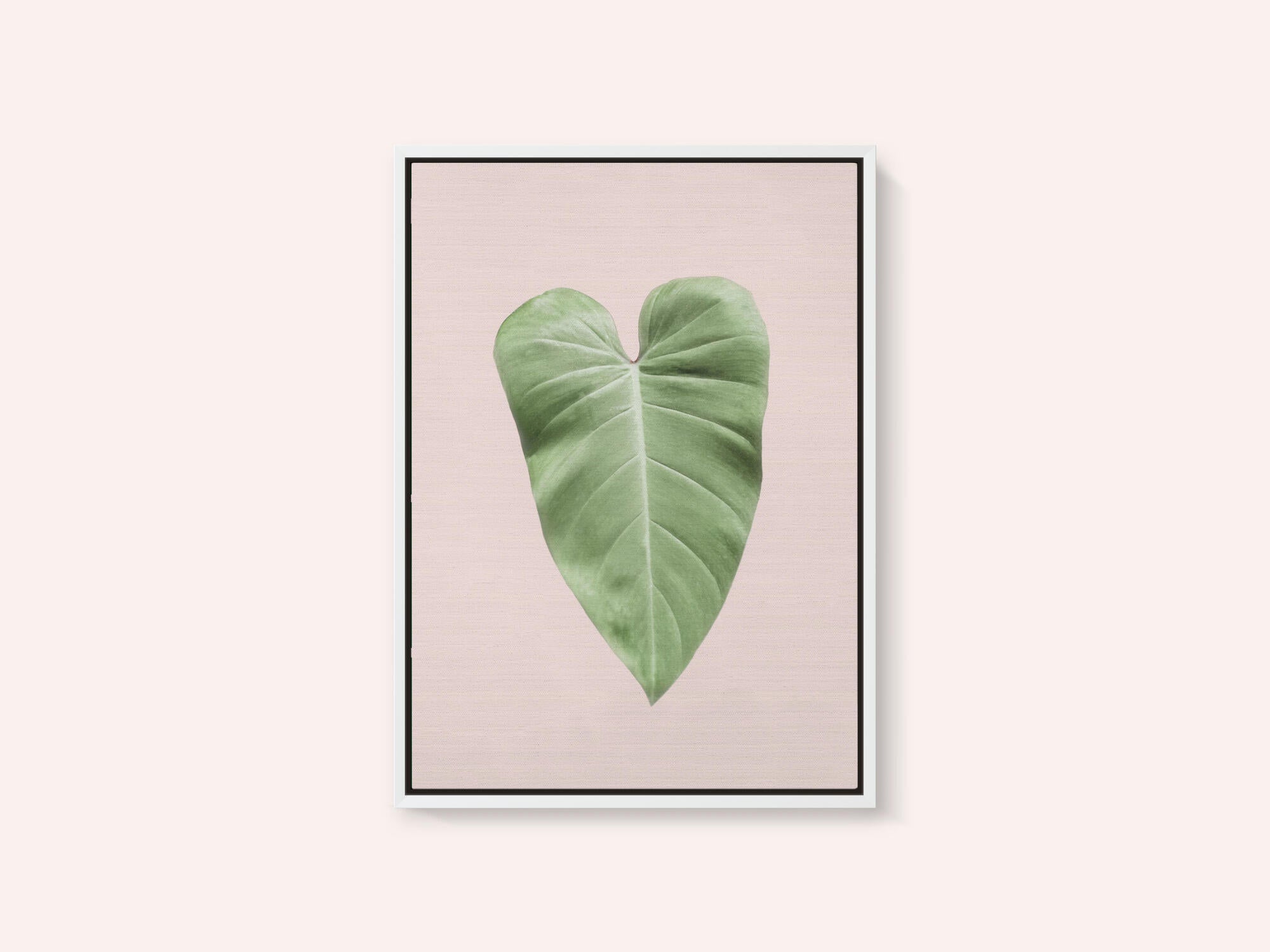 Tropical Leaf Blush