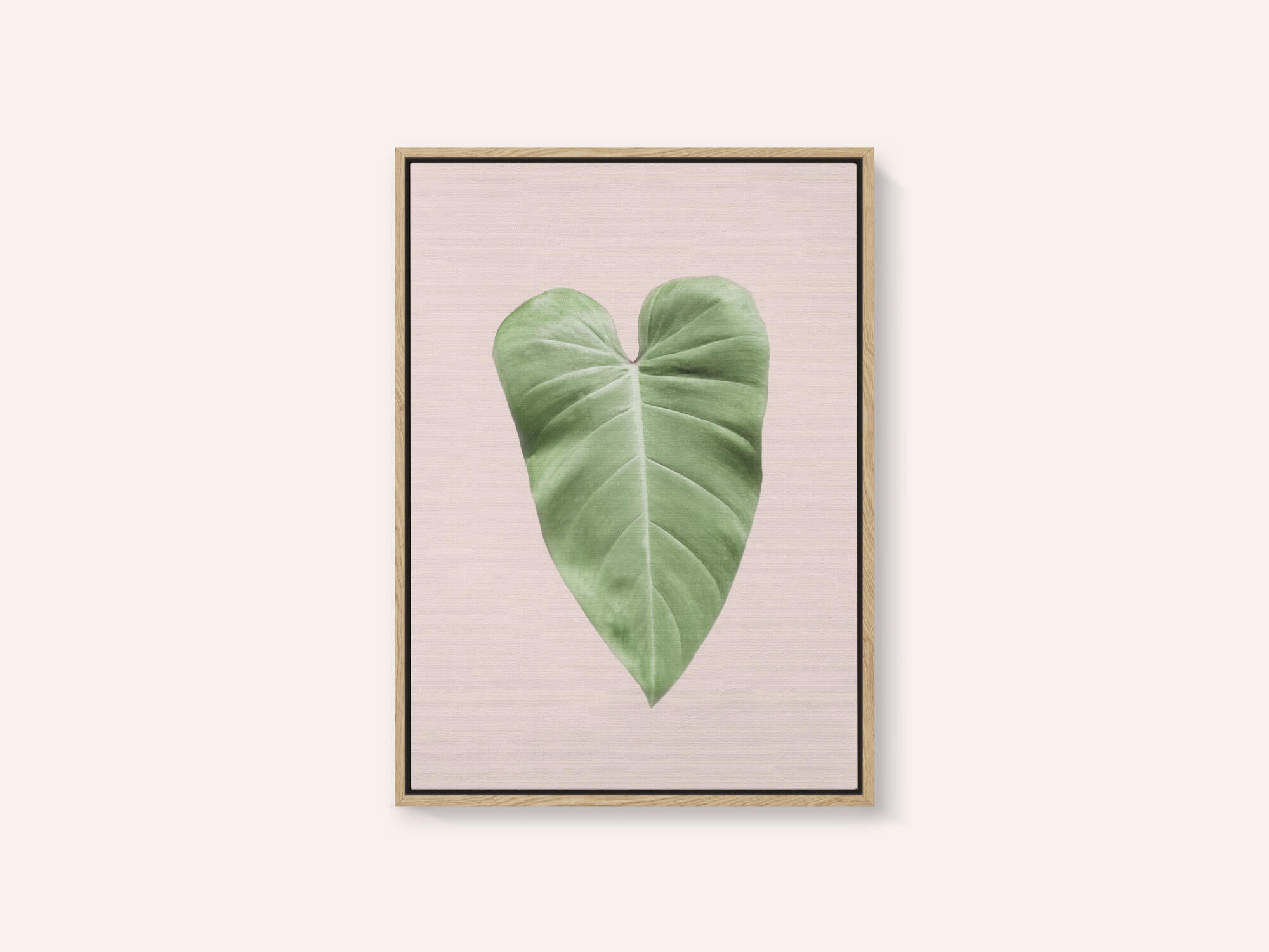Tropical Leaf Blush