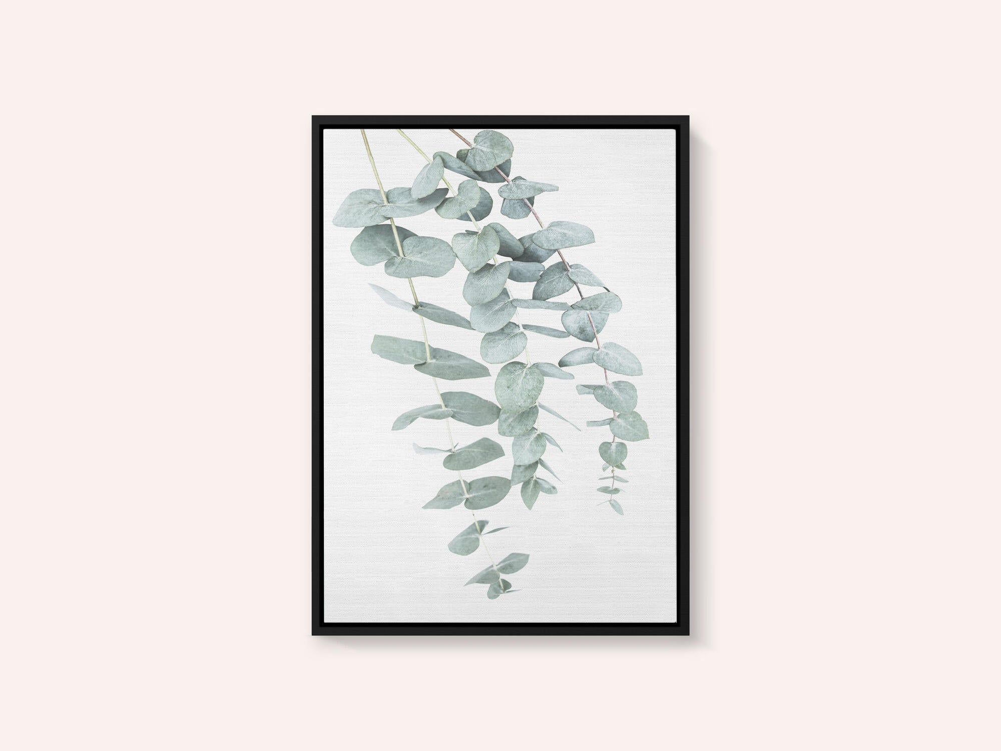 Eucalyptus I
