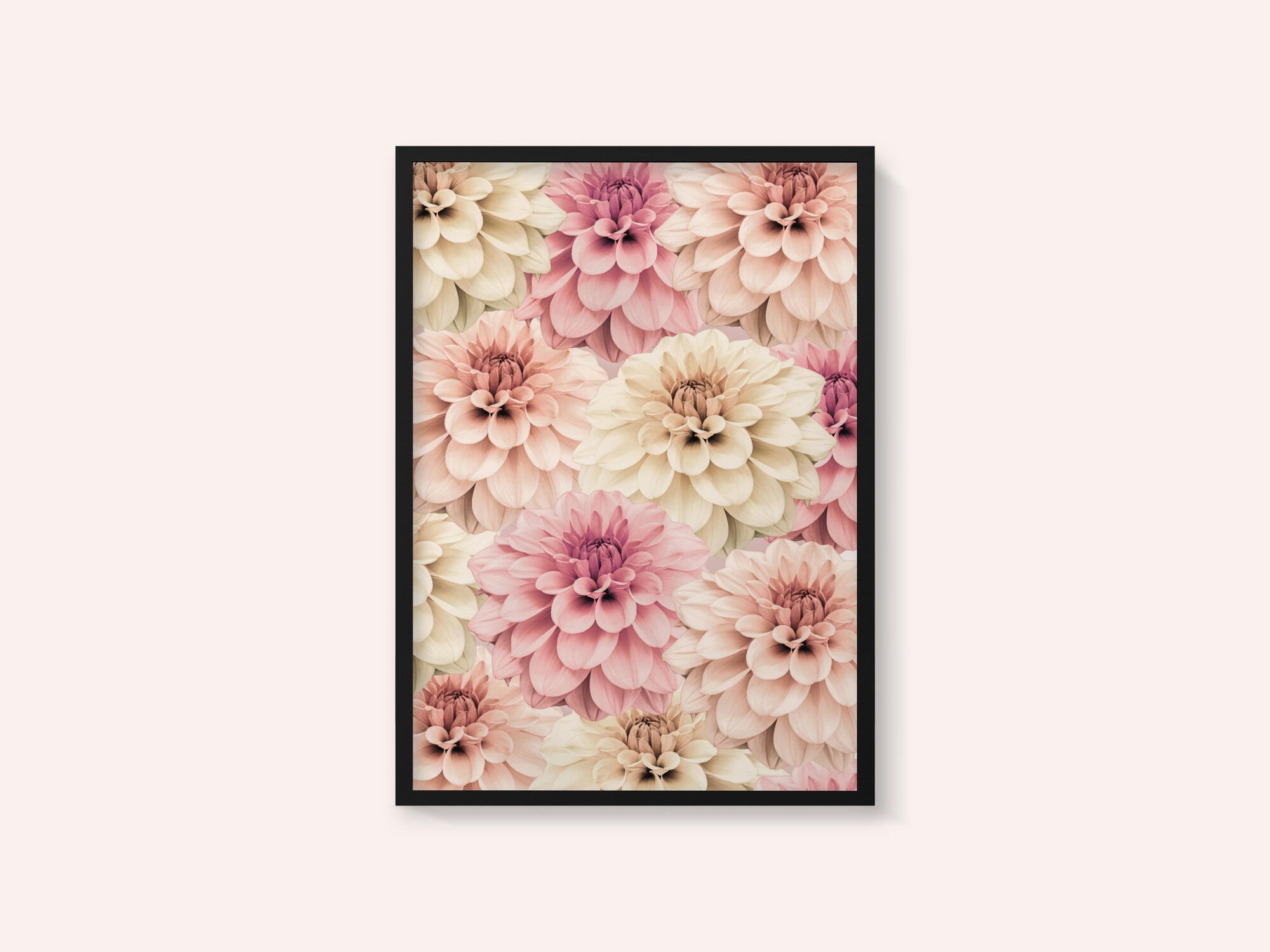 Dahlia
