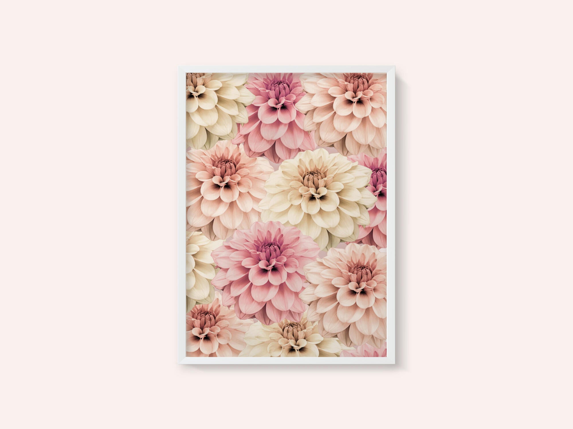 Dahlia