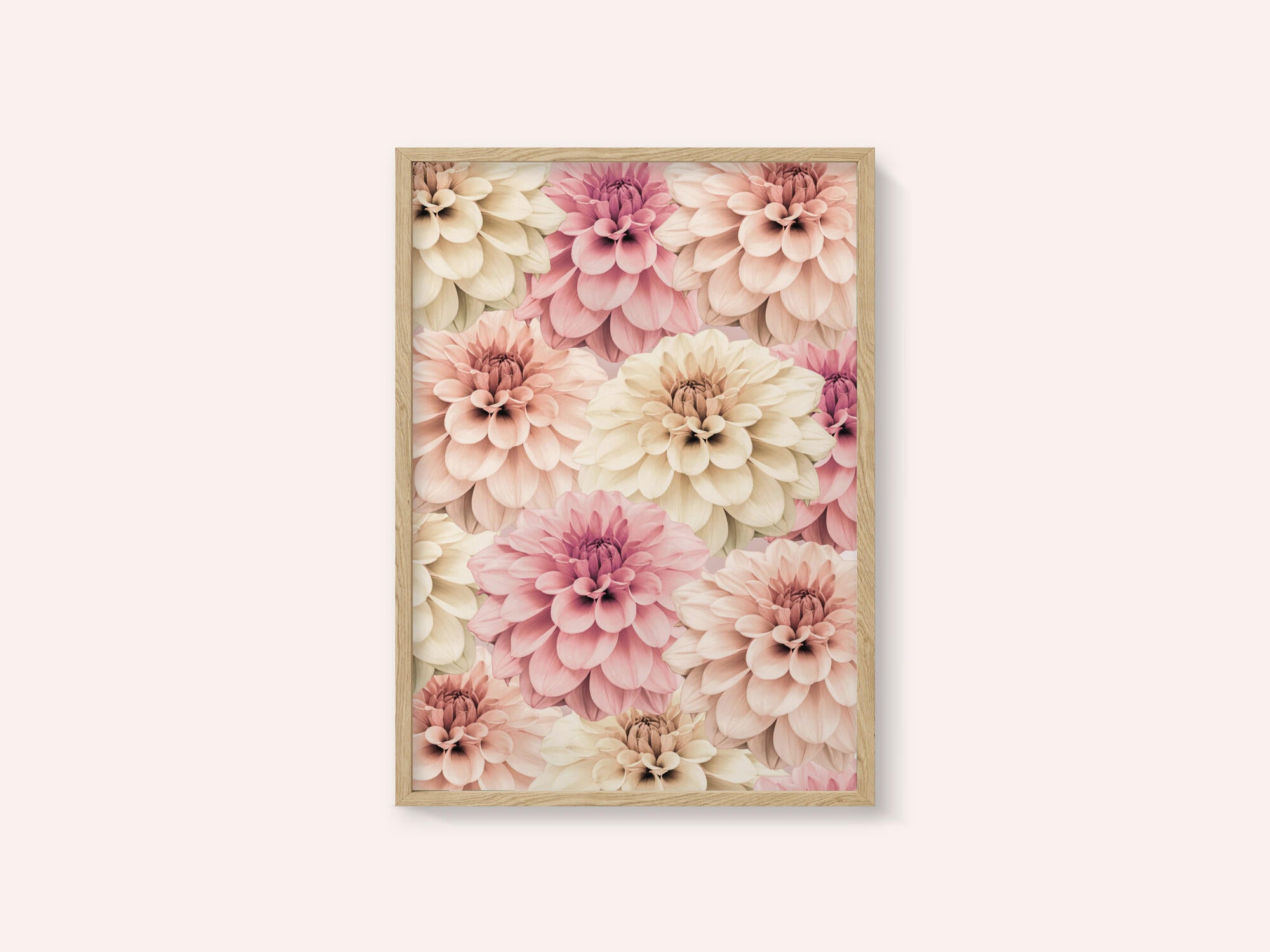Dahlia