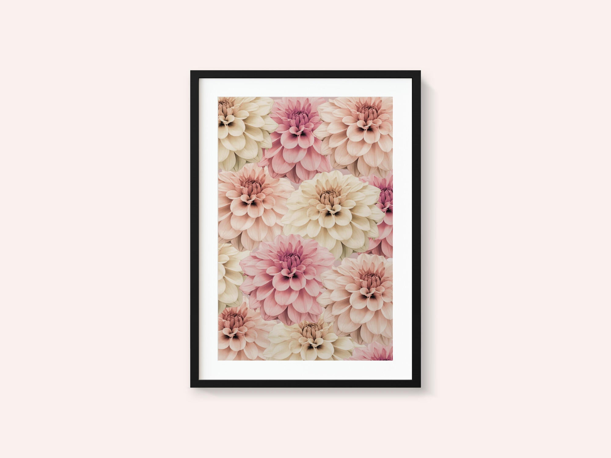 Dahlia