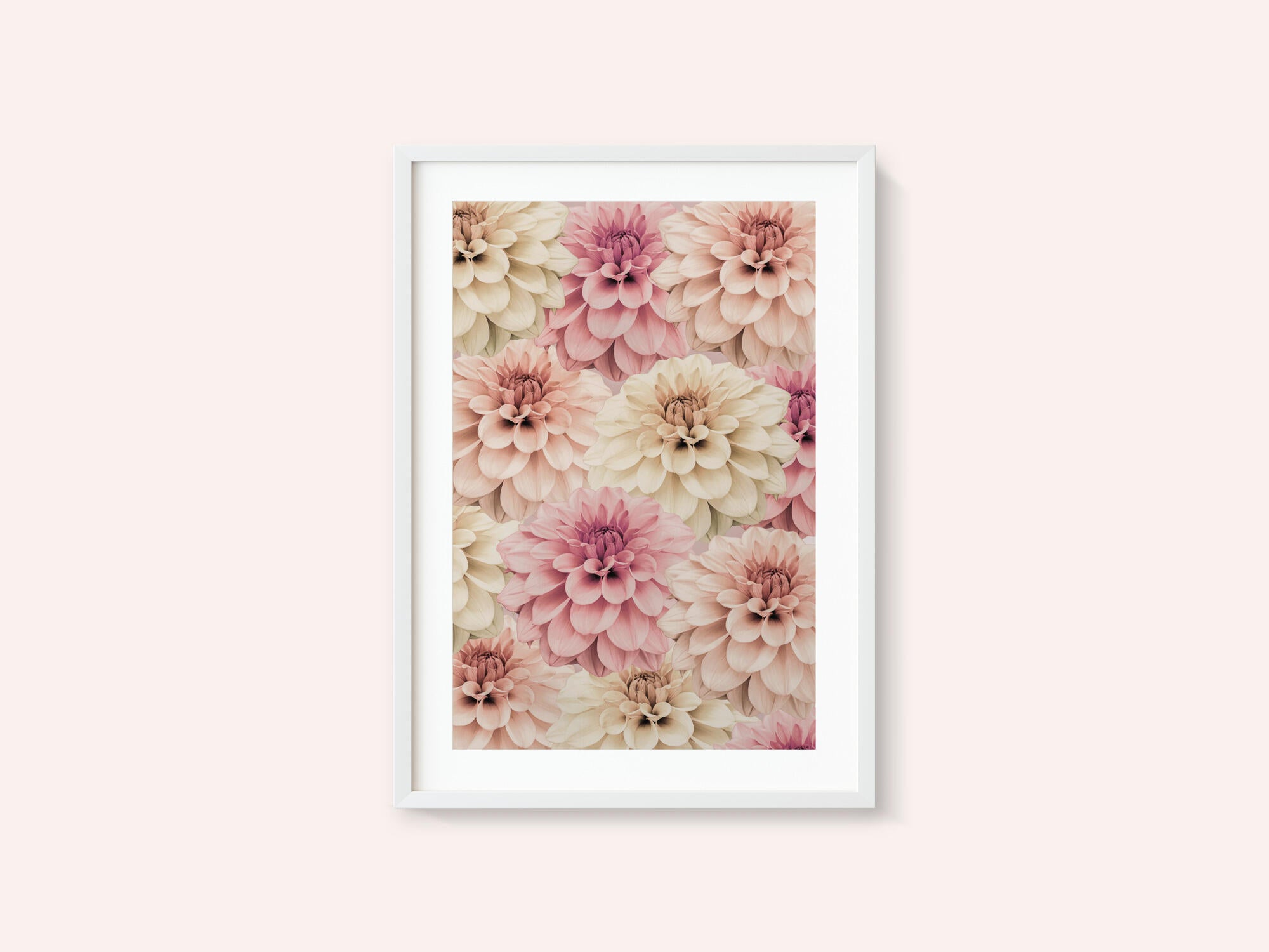Dahlia