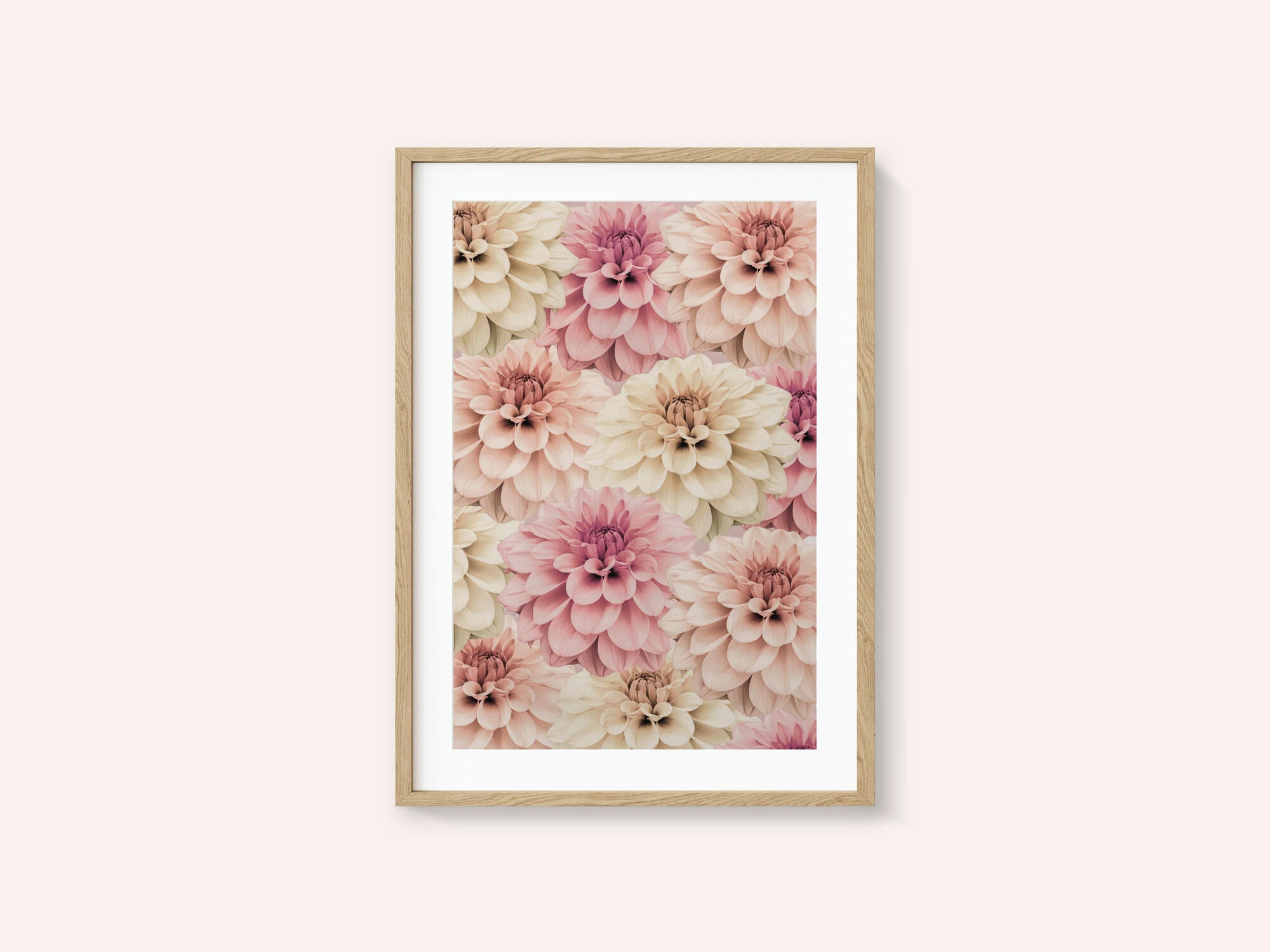 Dahlia