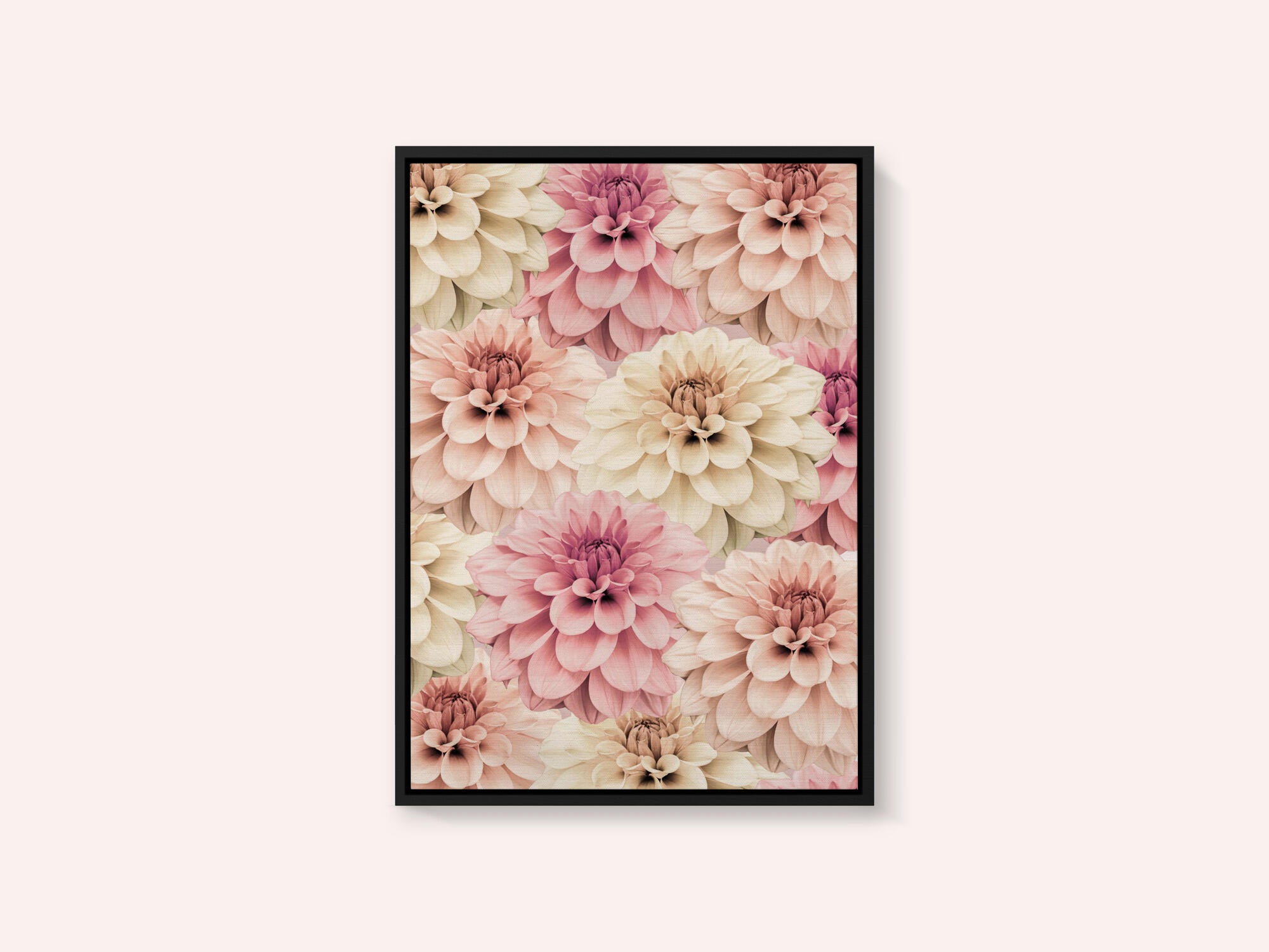Dahlia