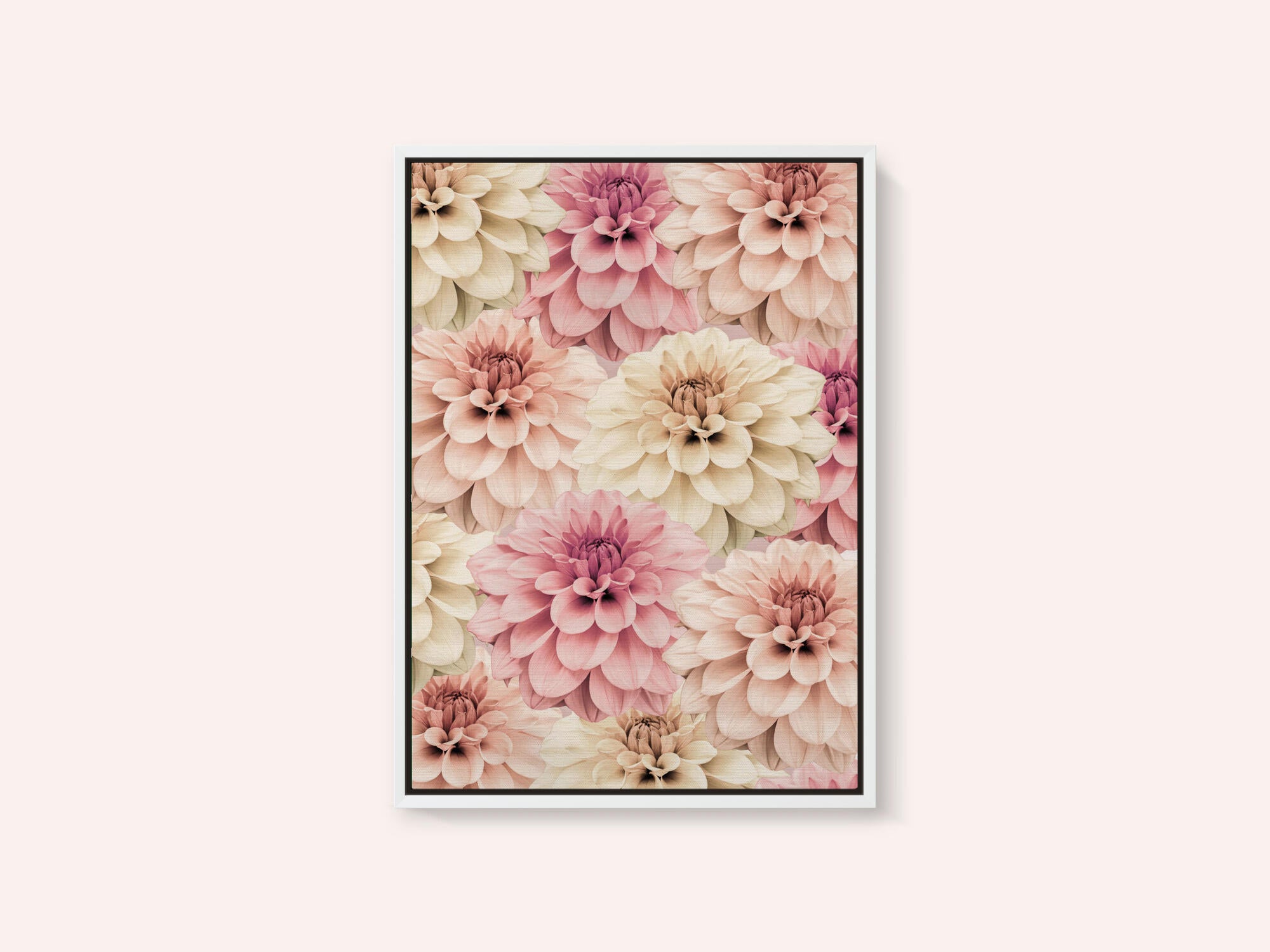 Dahlia