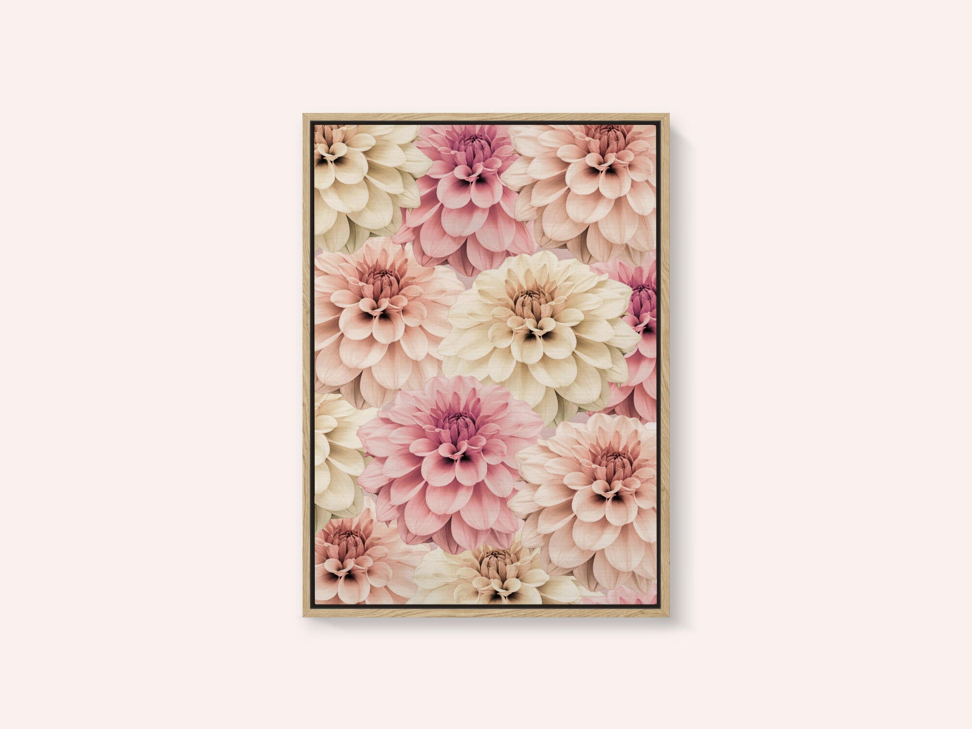 Dahlia