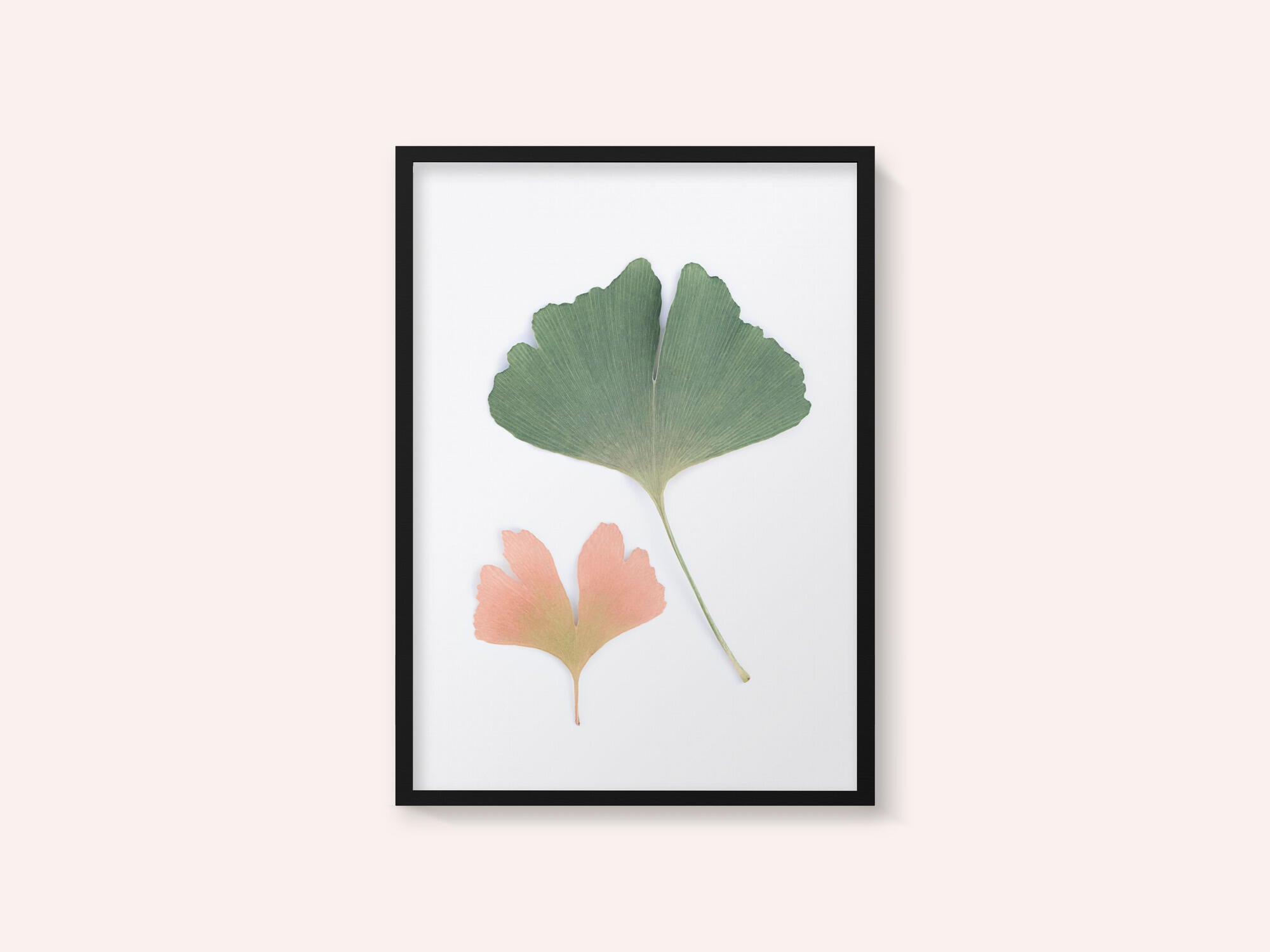 Pastel Ginkgo