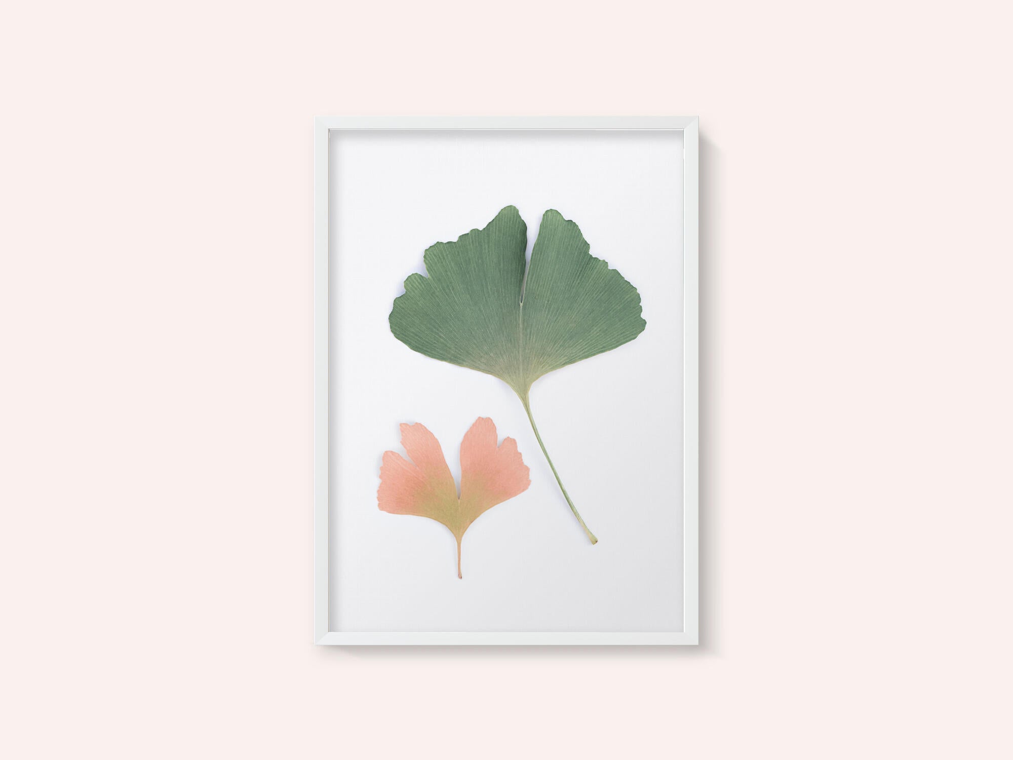 Pastel Ginkgo
