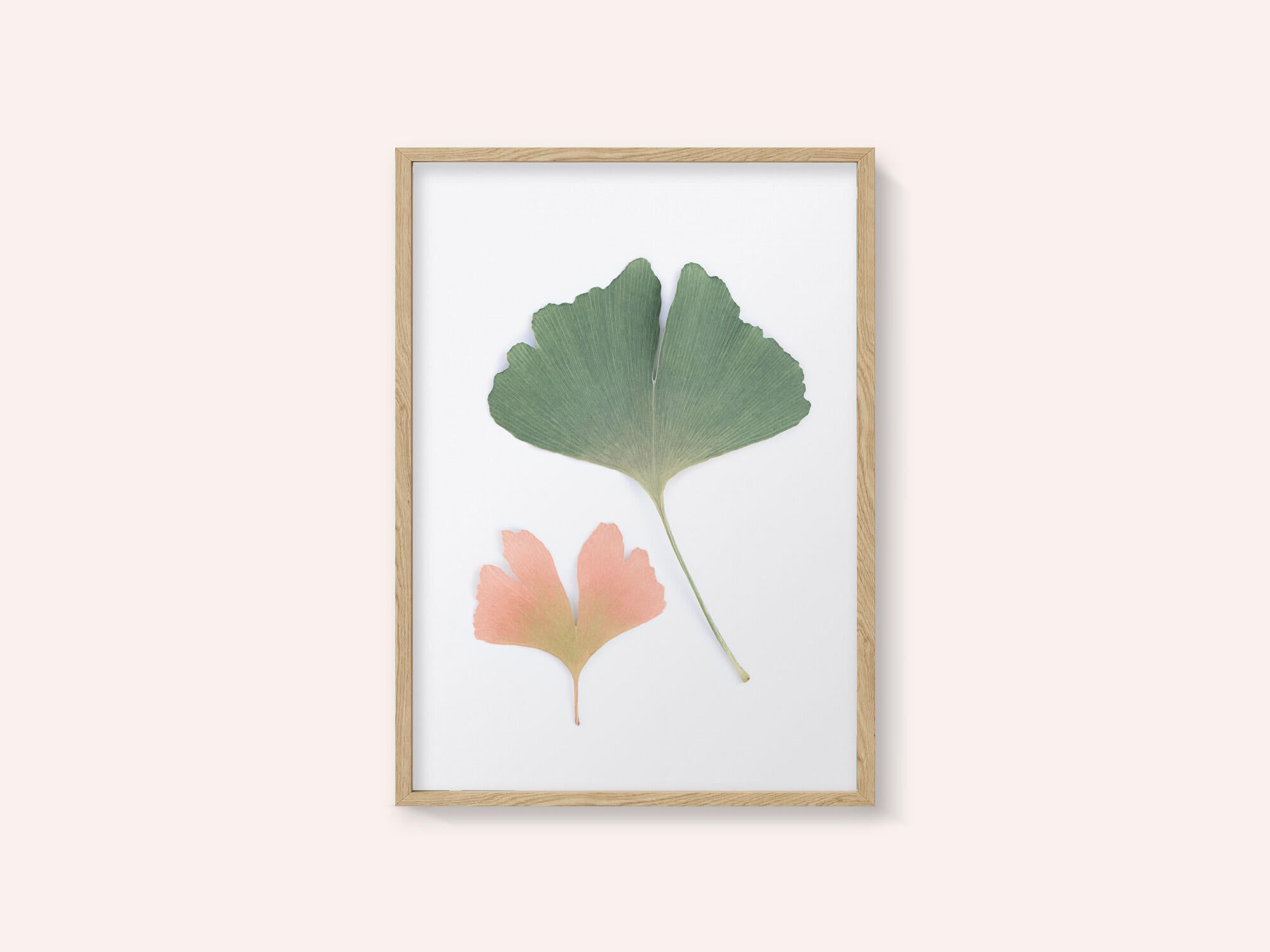 Pastel Ginkgo